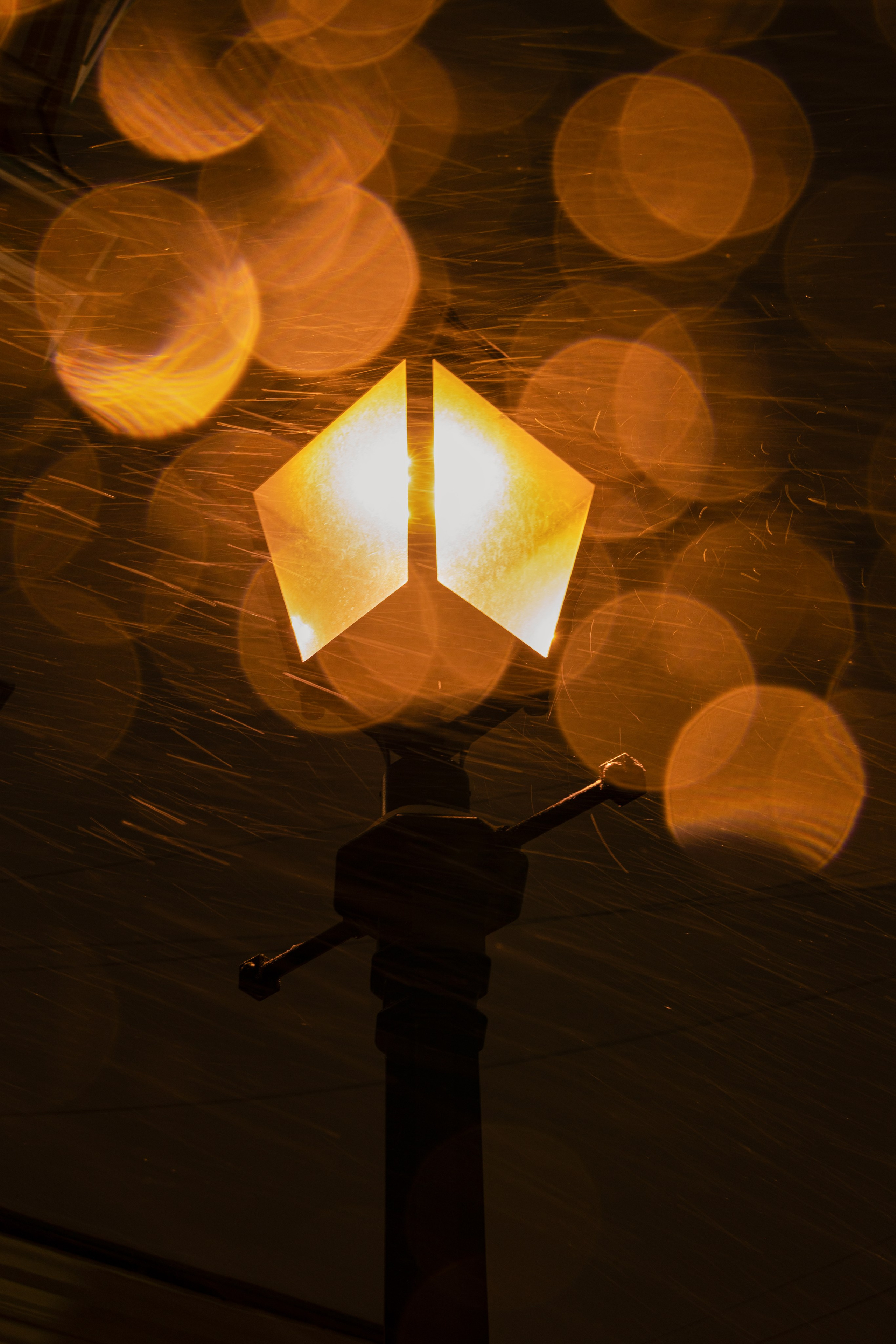 Фотограф Ольга Дунаева