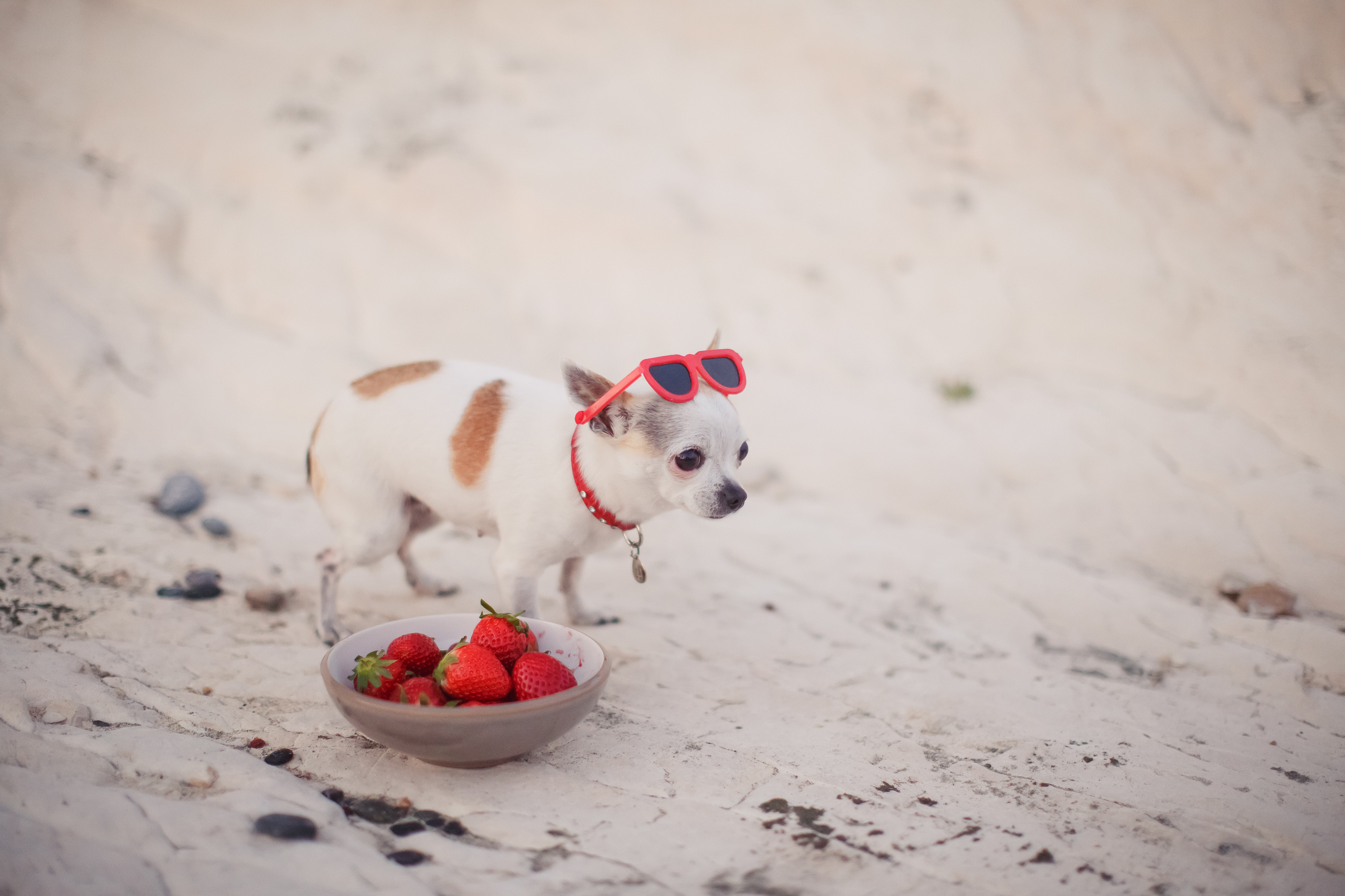 Семейная фотосессия на Кипре. Свадебный и семейный фотограф Ольга Сморжанюк