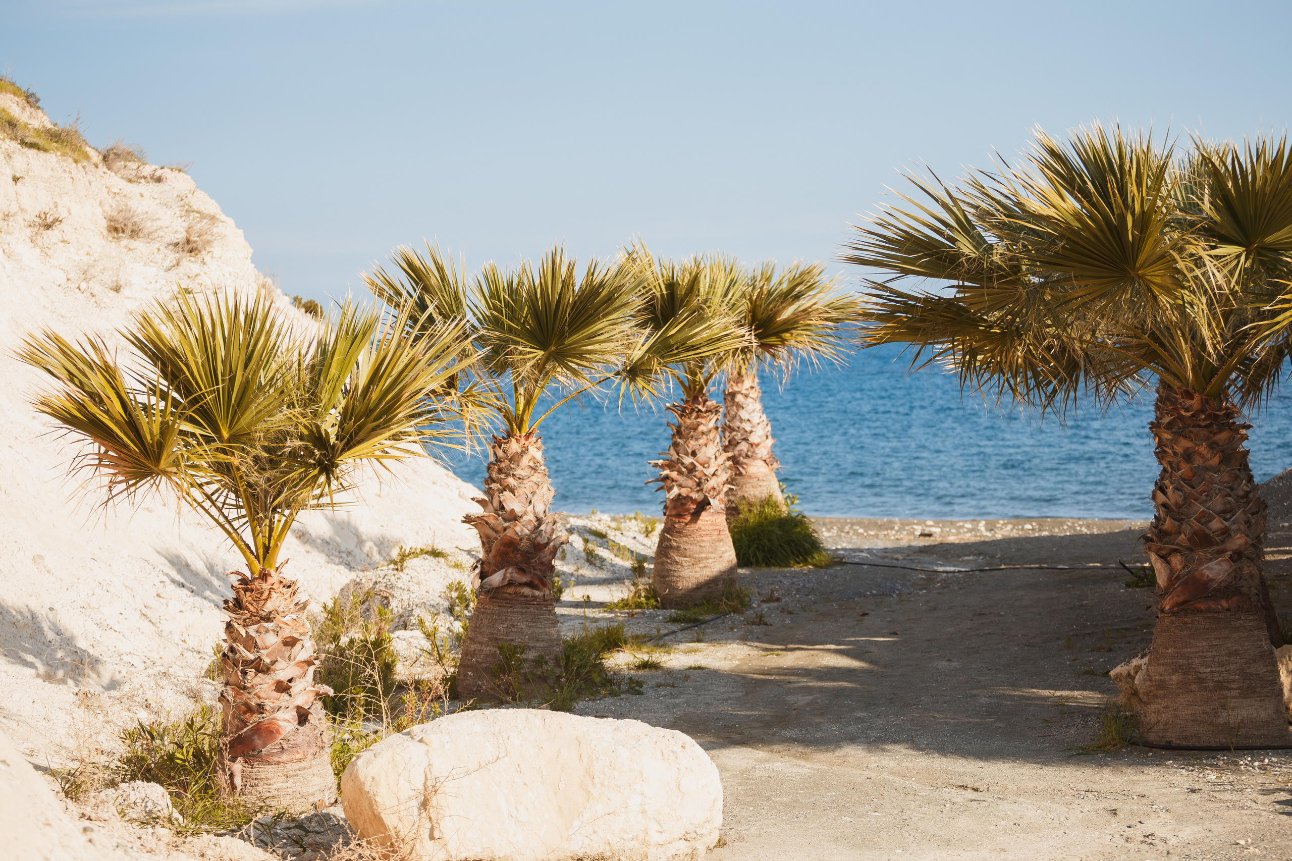 Семейная фотосессия на Кипре. Свадебный и семейный фотограф Ольга Сморжанюк
