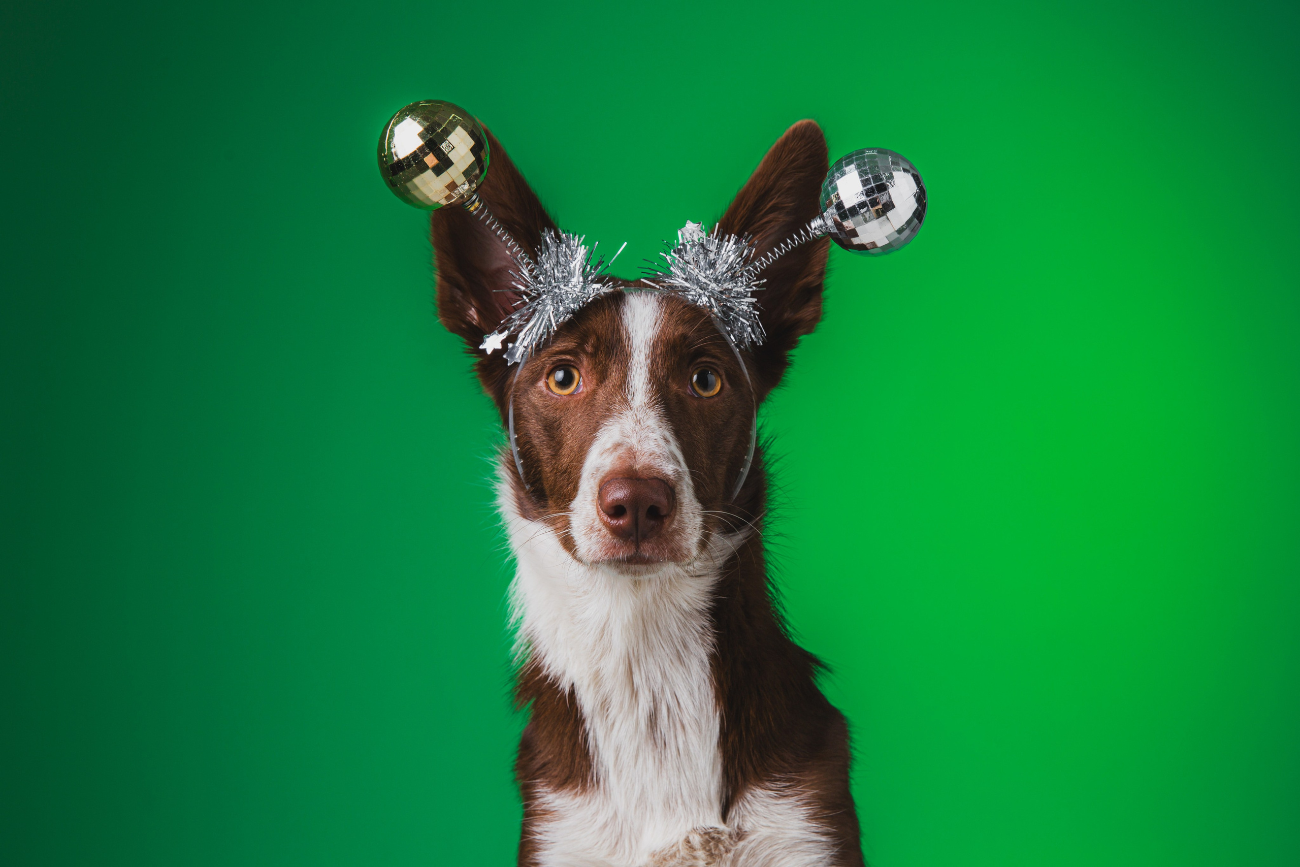 Воркшоп по импульсному свету