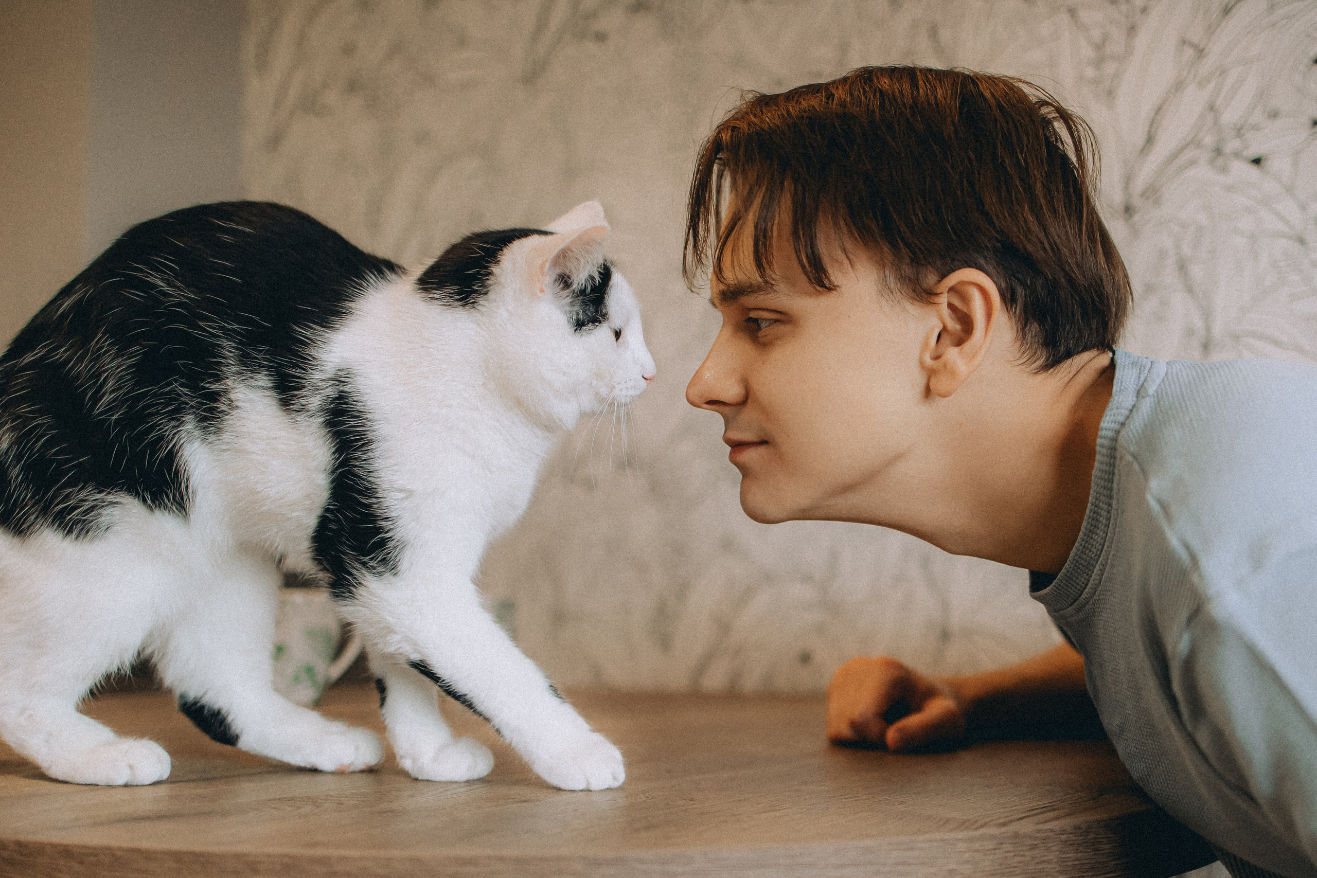 Рыся, Кепа и их семья