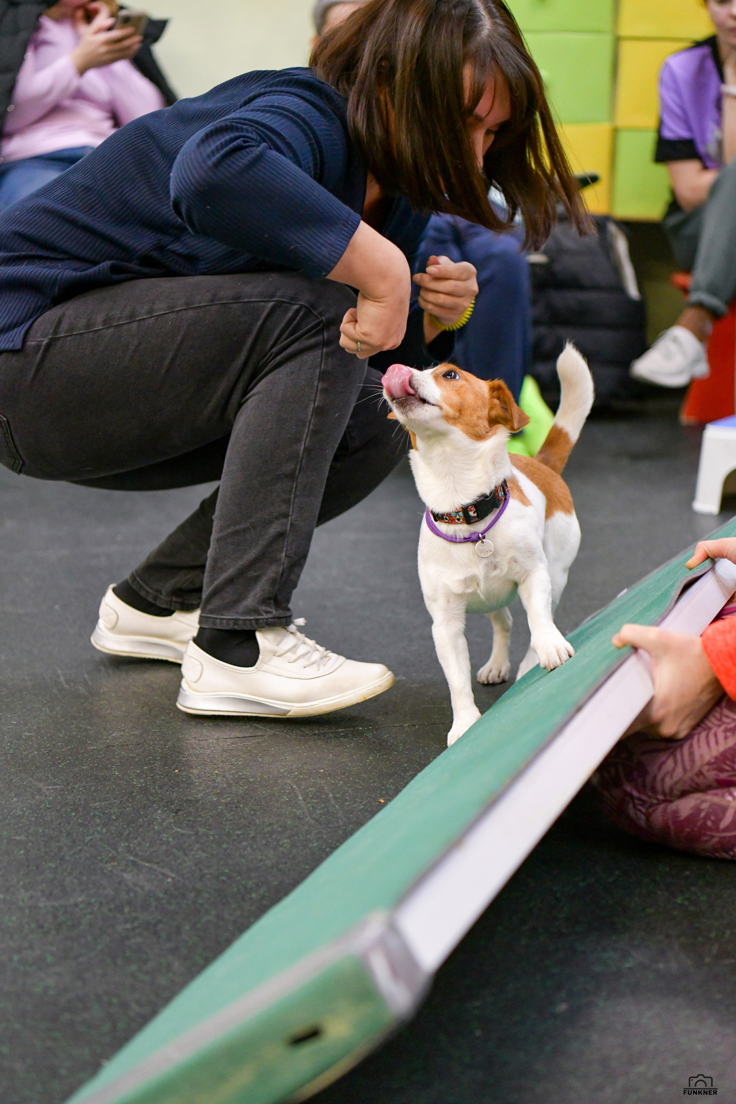 Кинологический клуб «Бодрый хвост». Свой взгляд через объектив