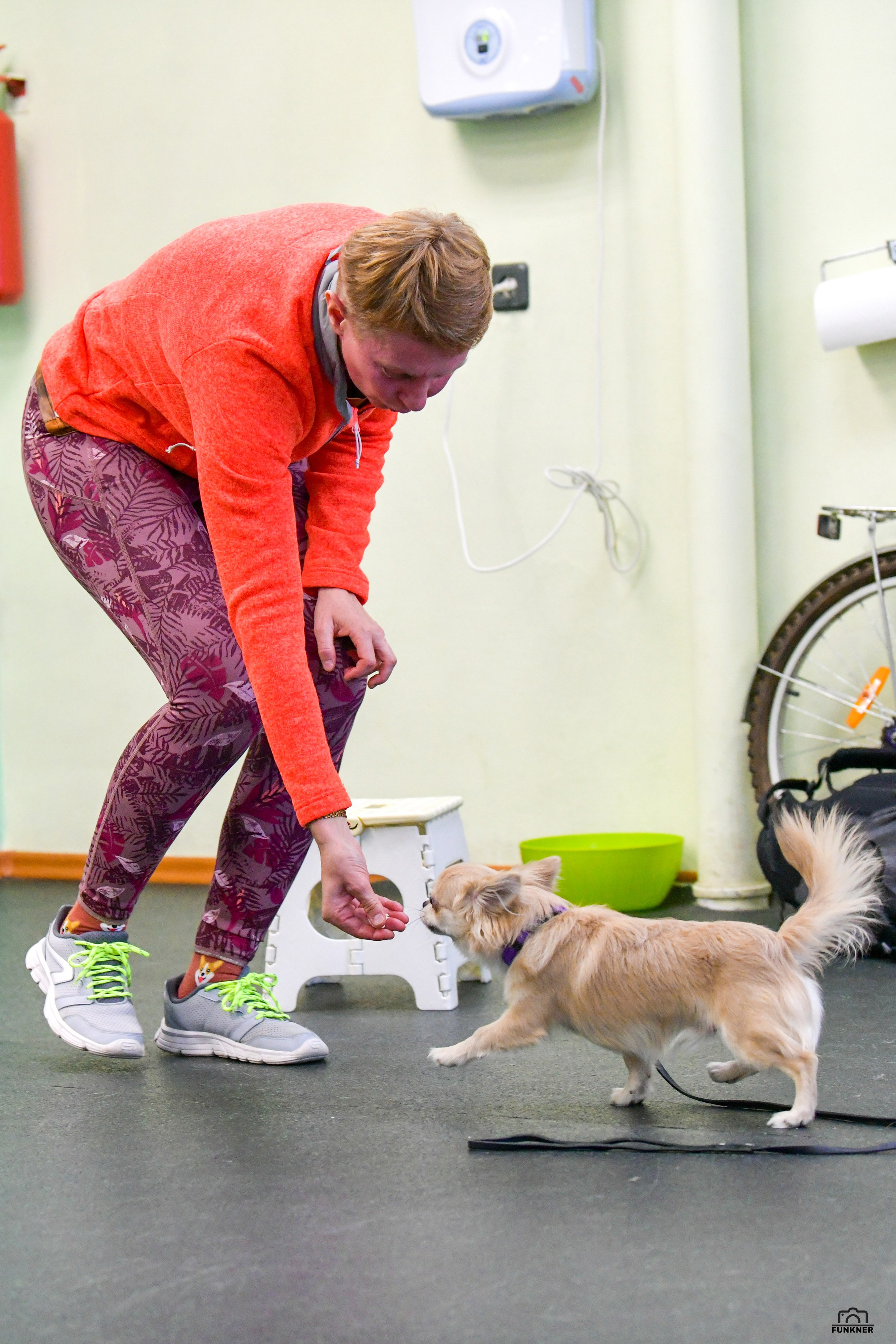 Кинологический клуб «Бодрый хвост». Свой взгляд через объектив