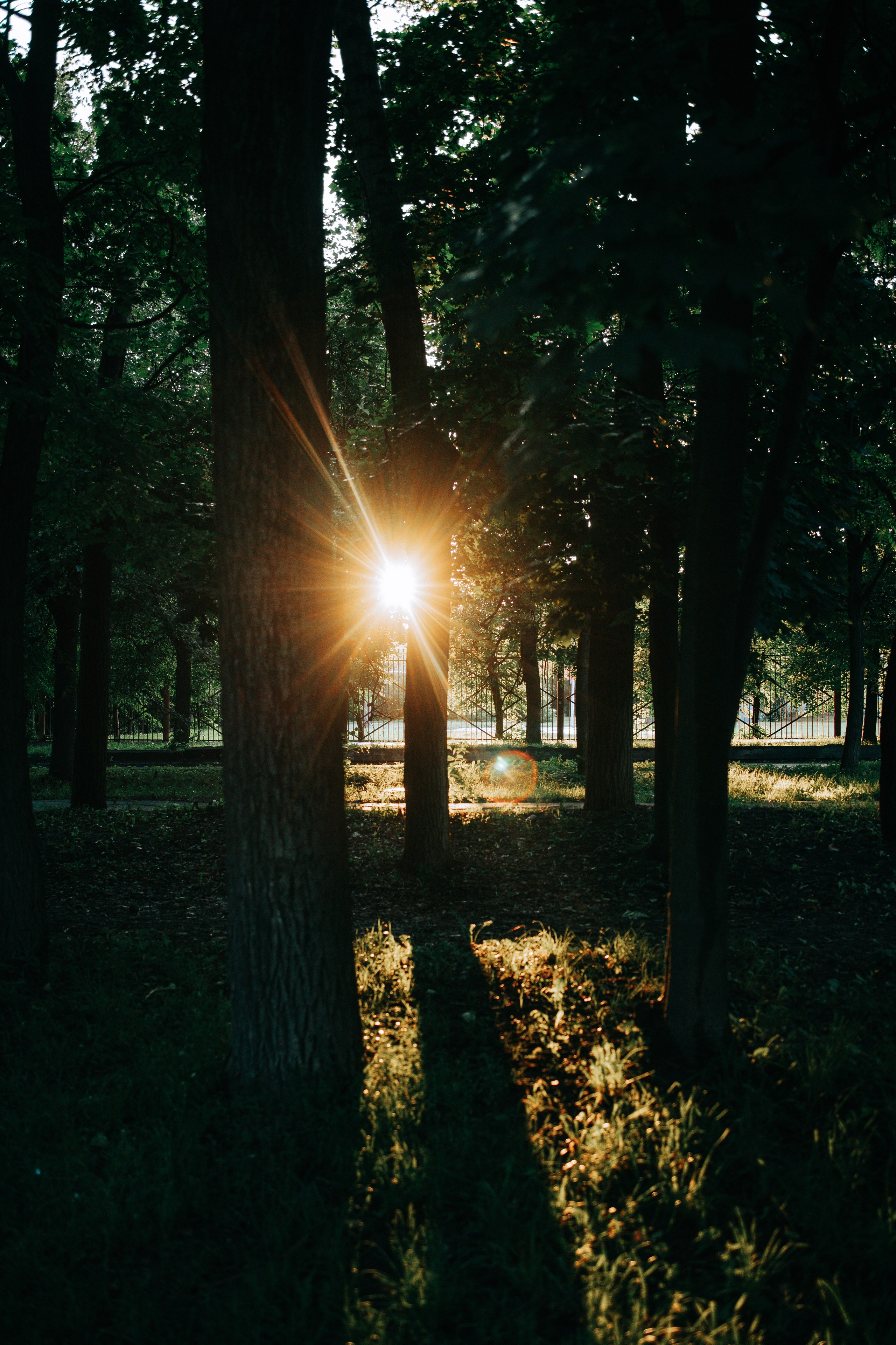 Дождливое лето. Свадебный и семейный фотограф в Туле и области Маша Костина