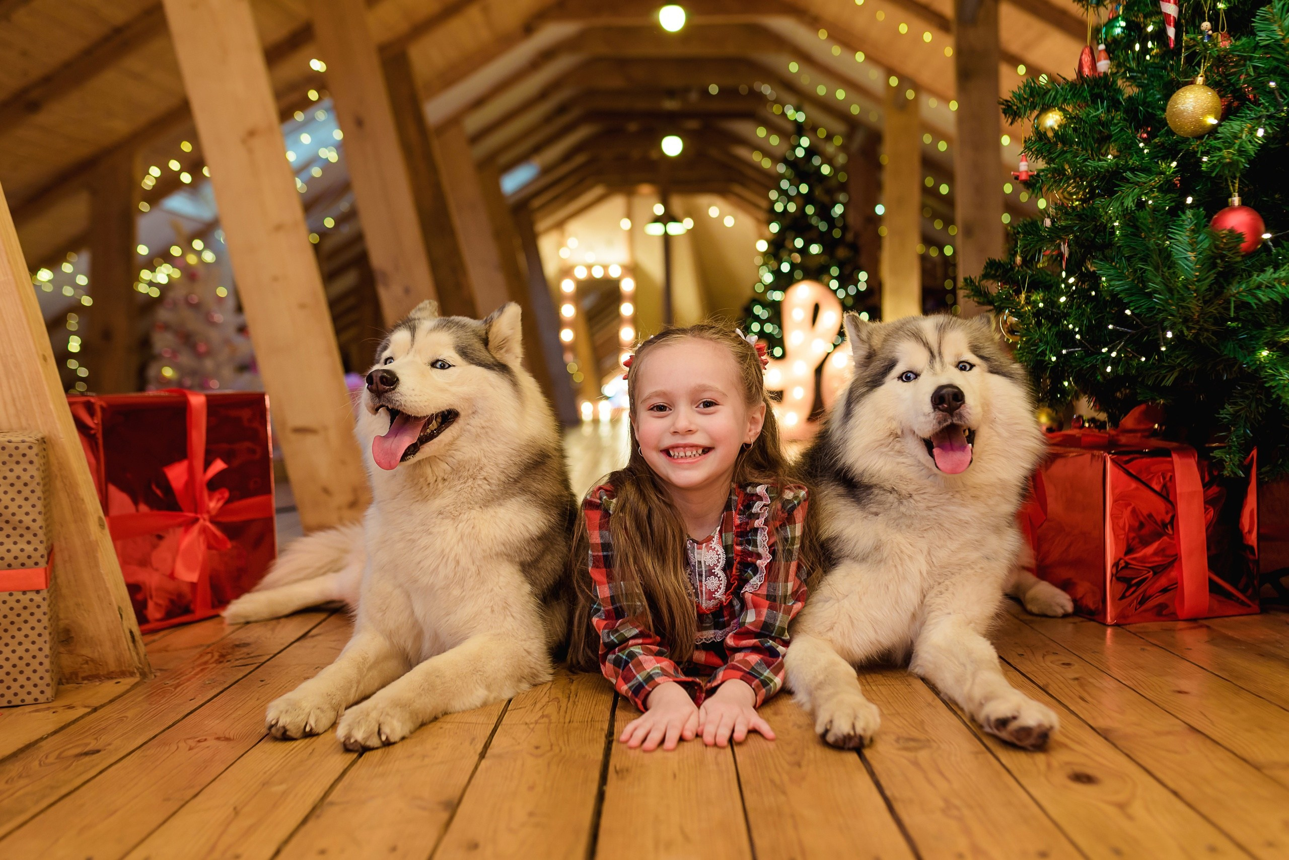 Новогодняя съемка. Меркулова Ольга фотограф Воронеж