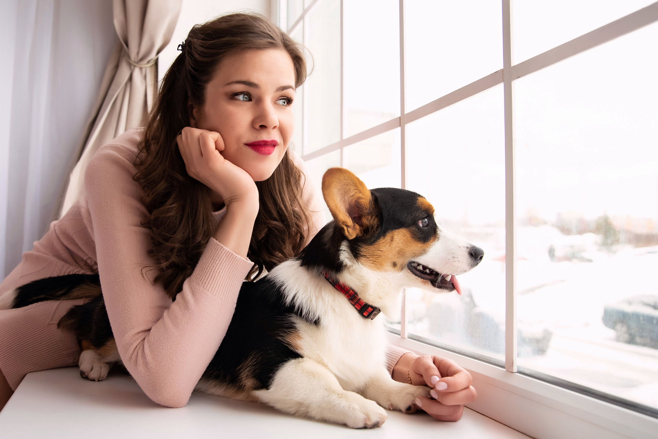 Съёмка с питомцем