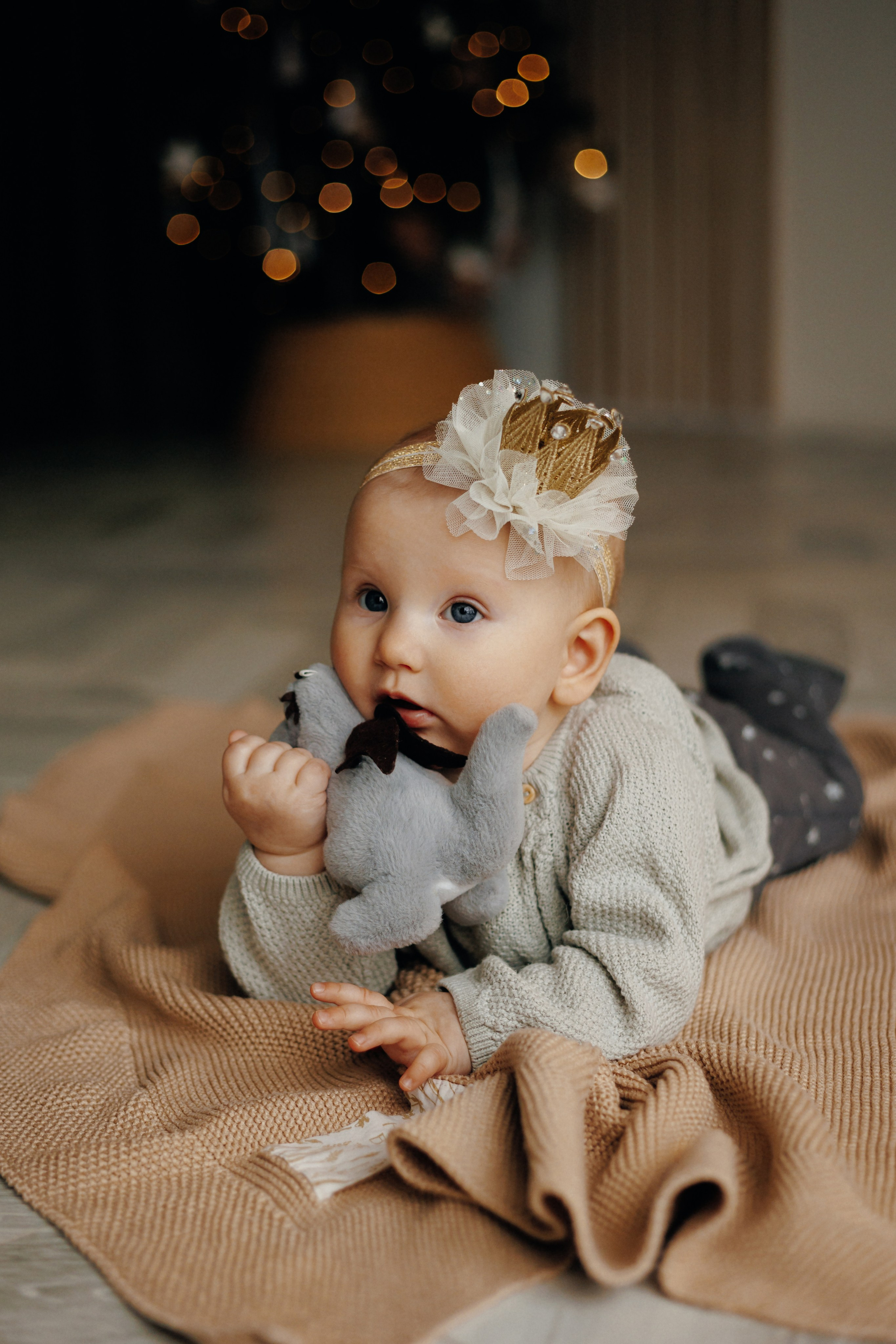 Семейная новогодняя фотосессия Витебск. Свадебный и семейный фотограф Витебск, Минск, Андрей Павлов