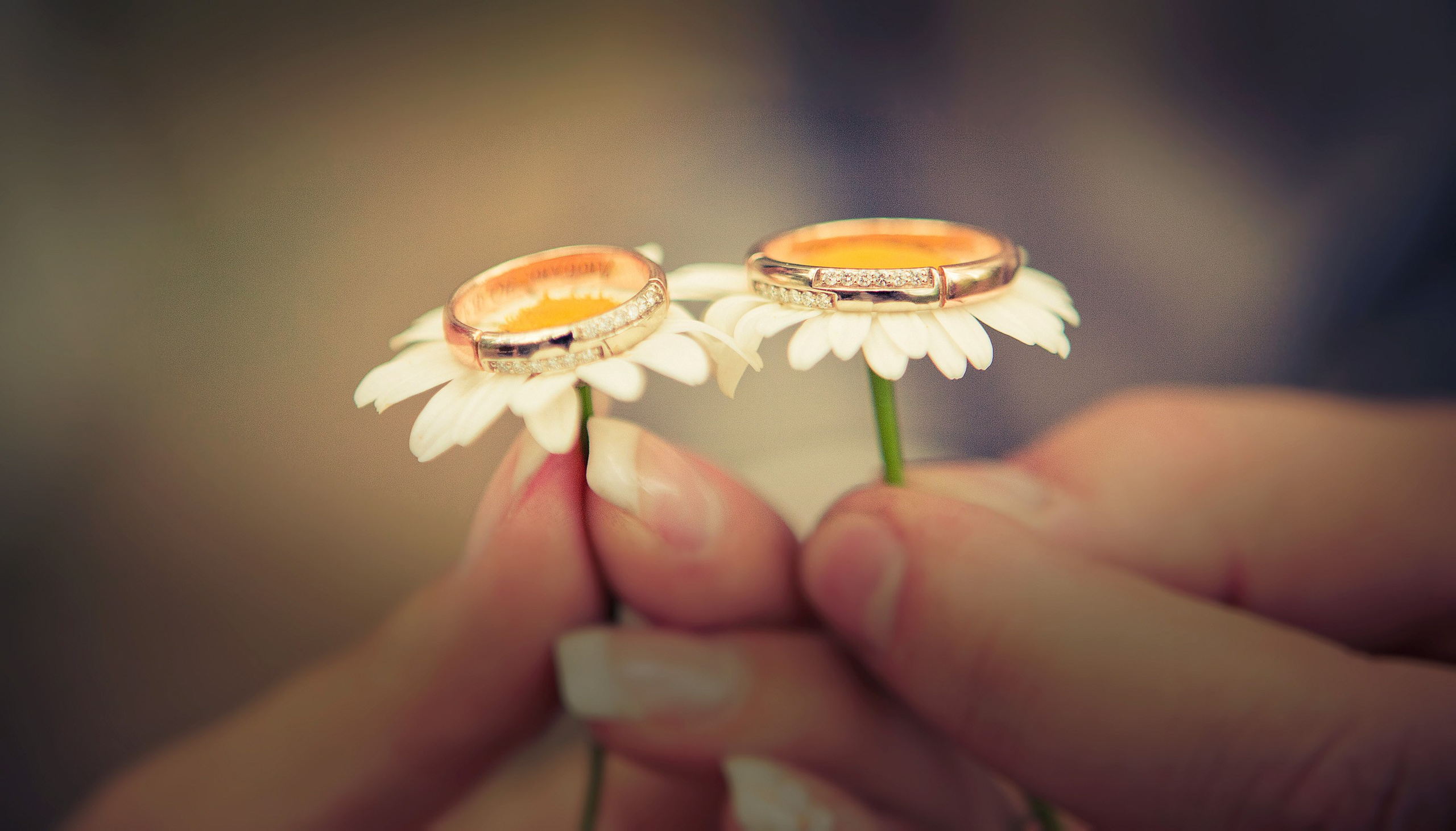 Семейный и репортажной фотограф в Красноярске и Москве Виктор Бабинцев