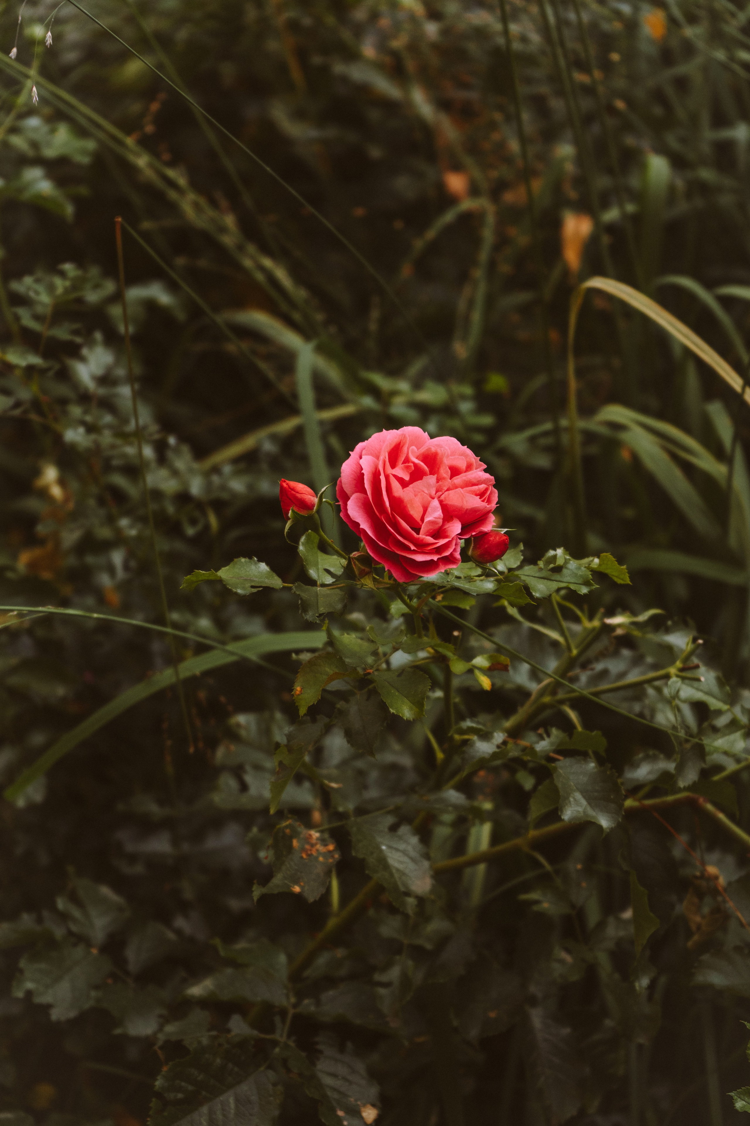 Анна Логишева. Портретный фотограф Нижний Новгород
