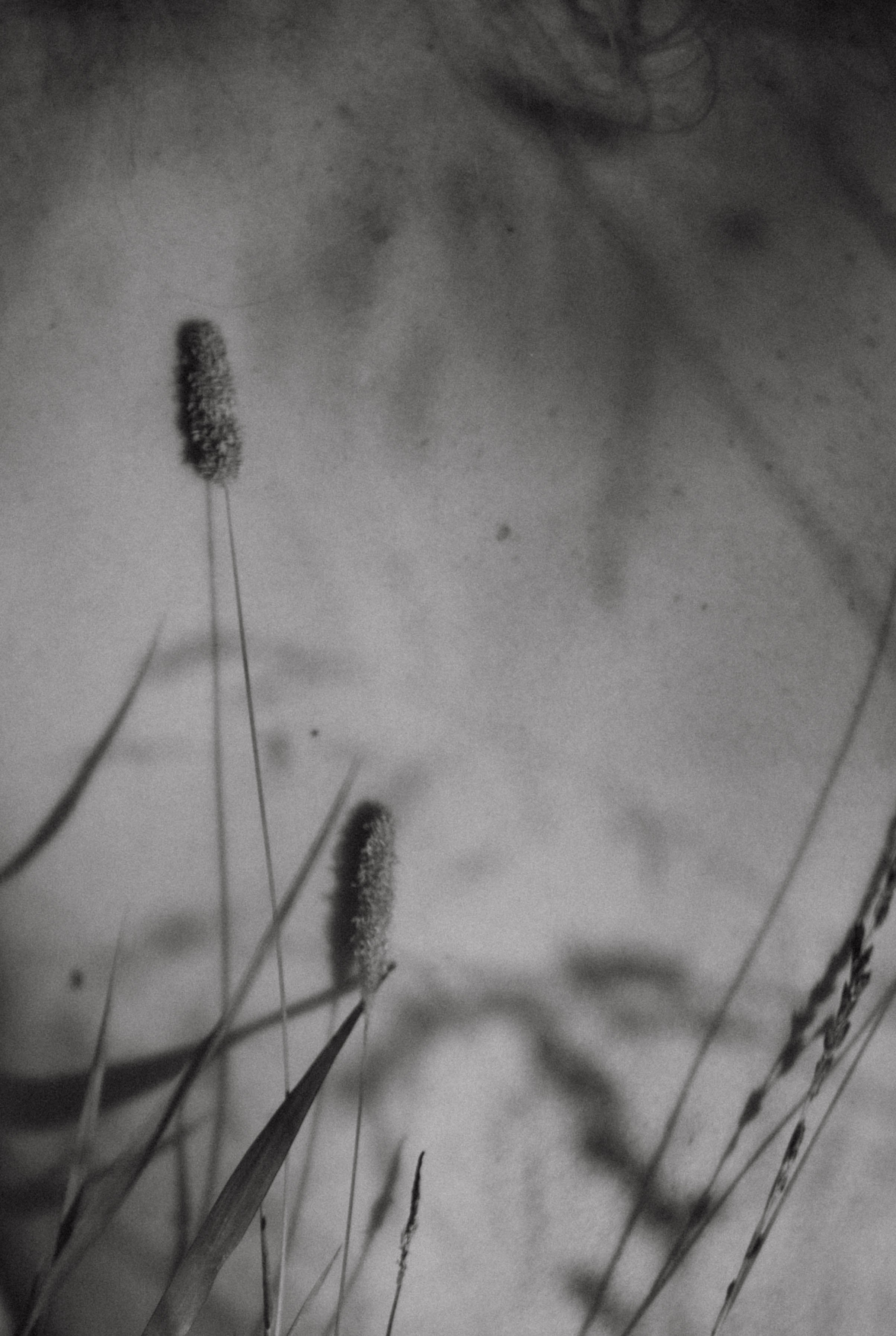 Ирина. Закат. Поле. Фотограф в Нижнем Новгороде