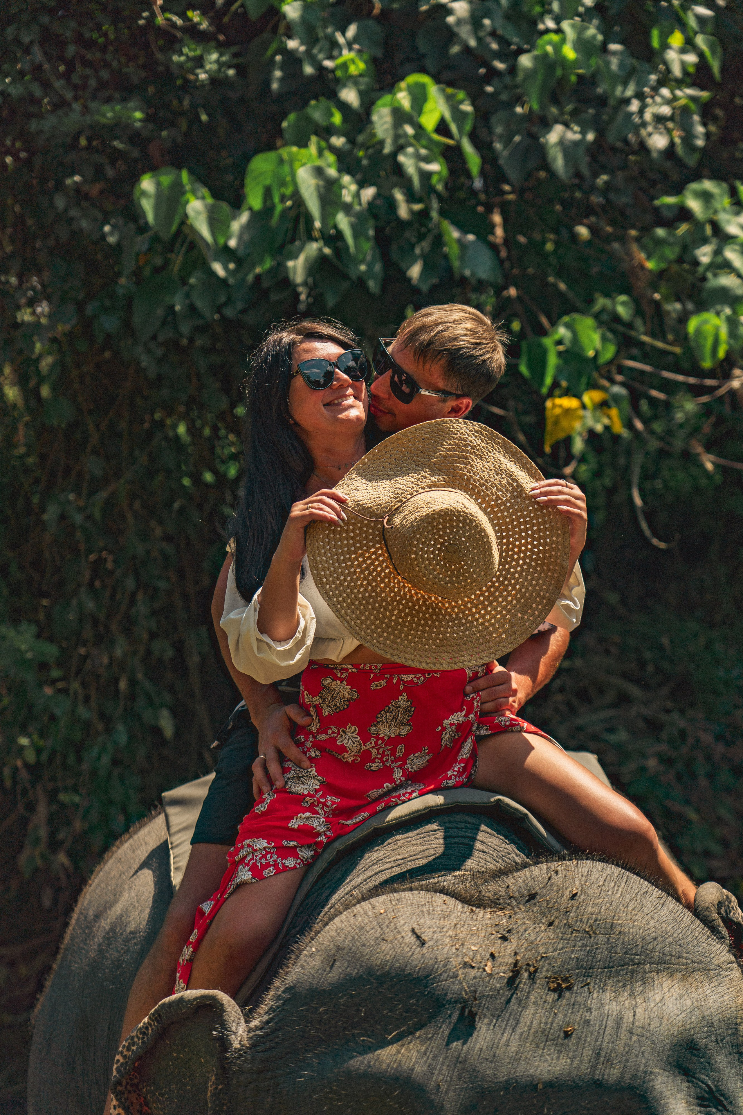 Bathing with elephants in Pinnawala, Botanical Garden