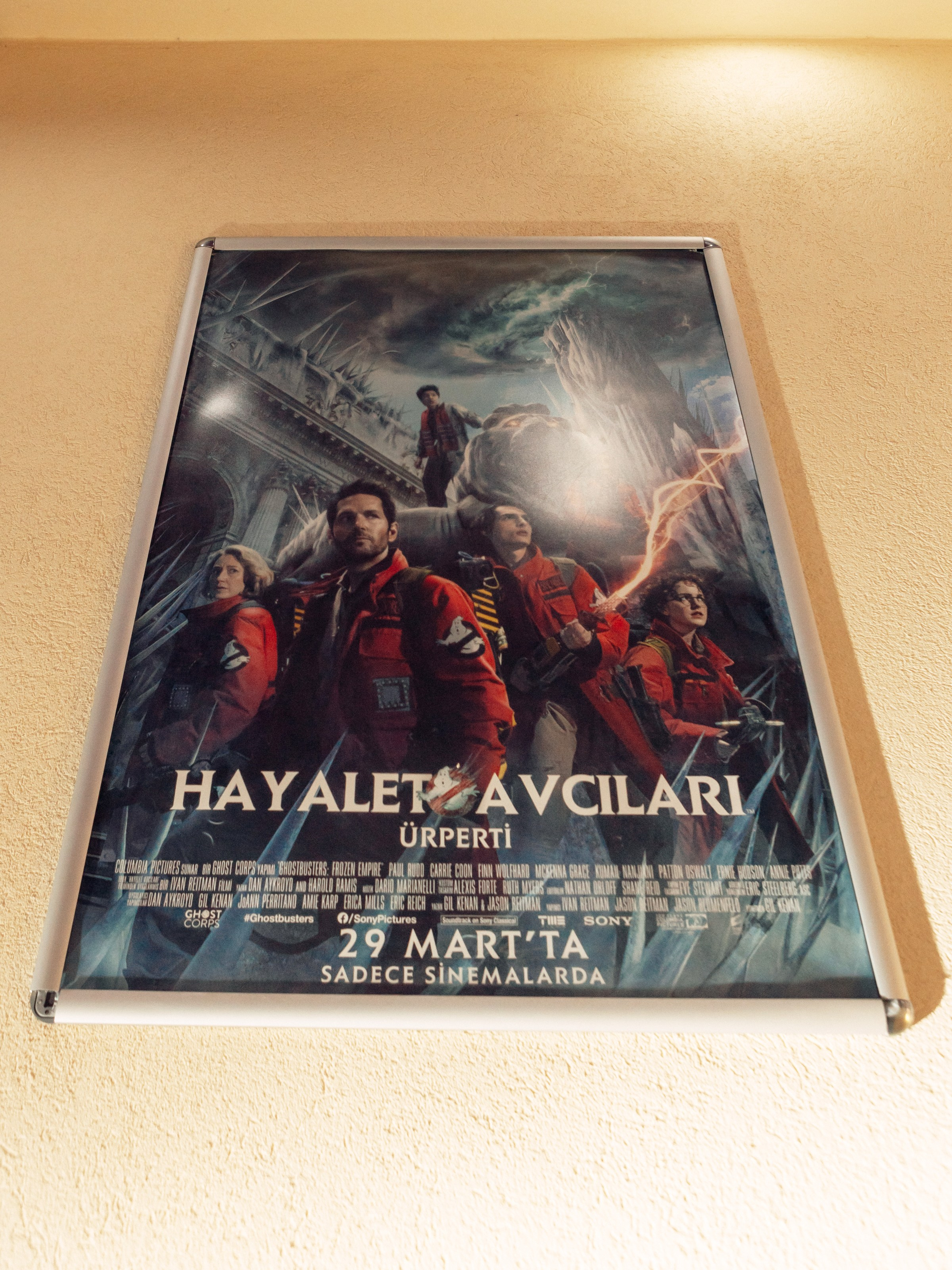 Orlando Starlux. Photographer in Batumi, Georgia Pavel Sharnikov