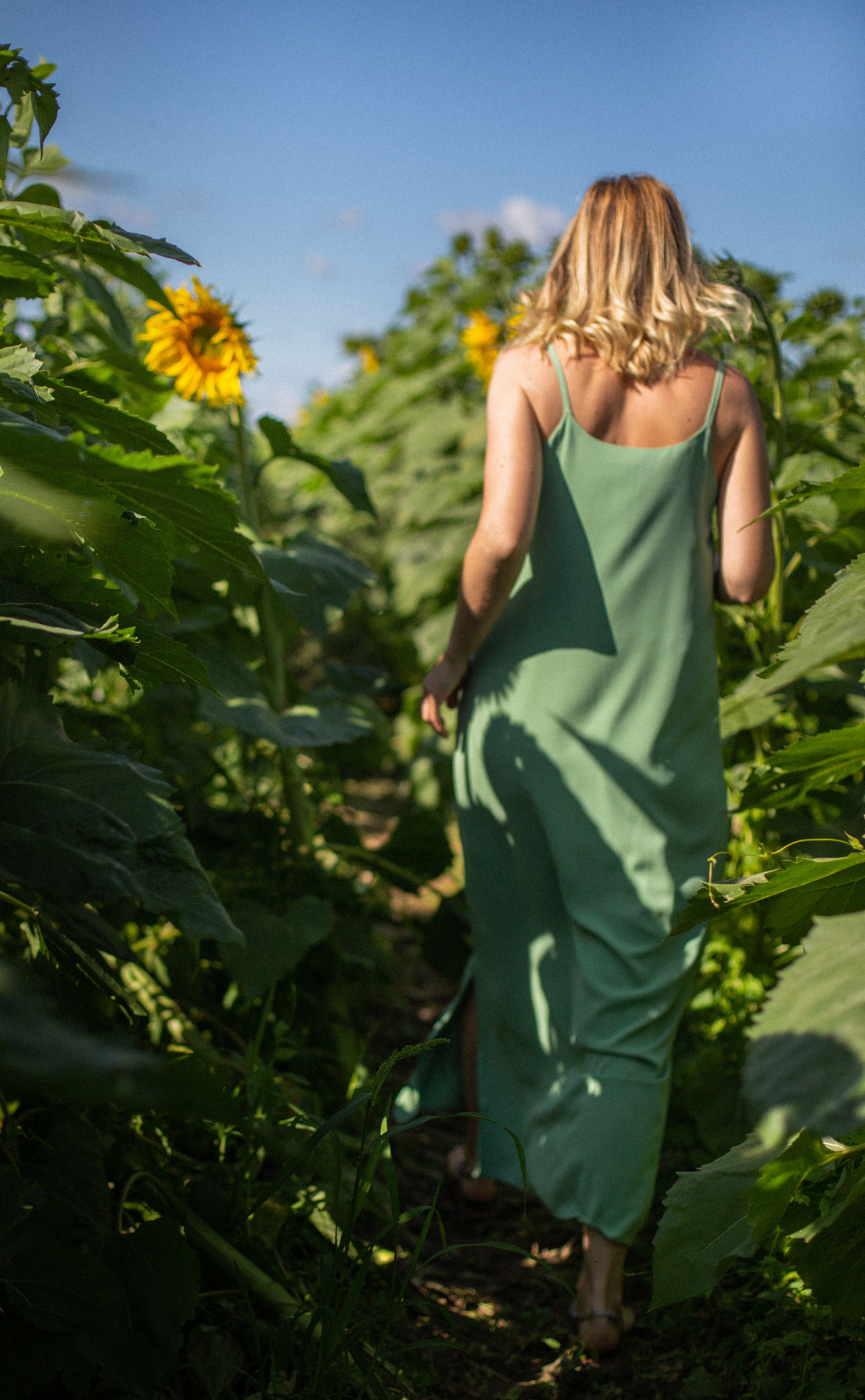 Ксюша, Катя и Полина. Съёмка в подсолнухах. Семейный и детский фотограф в Минске Владыко Татьяна