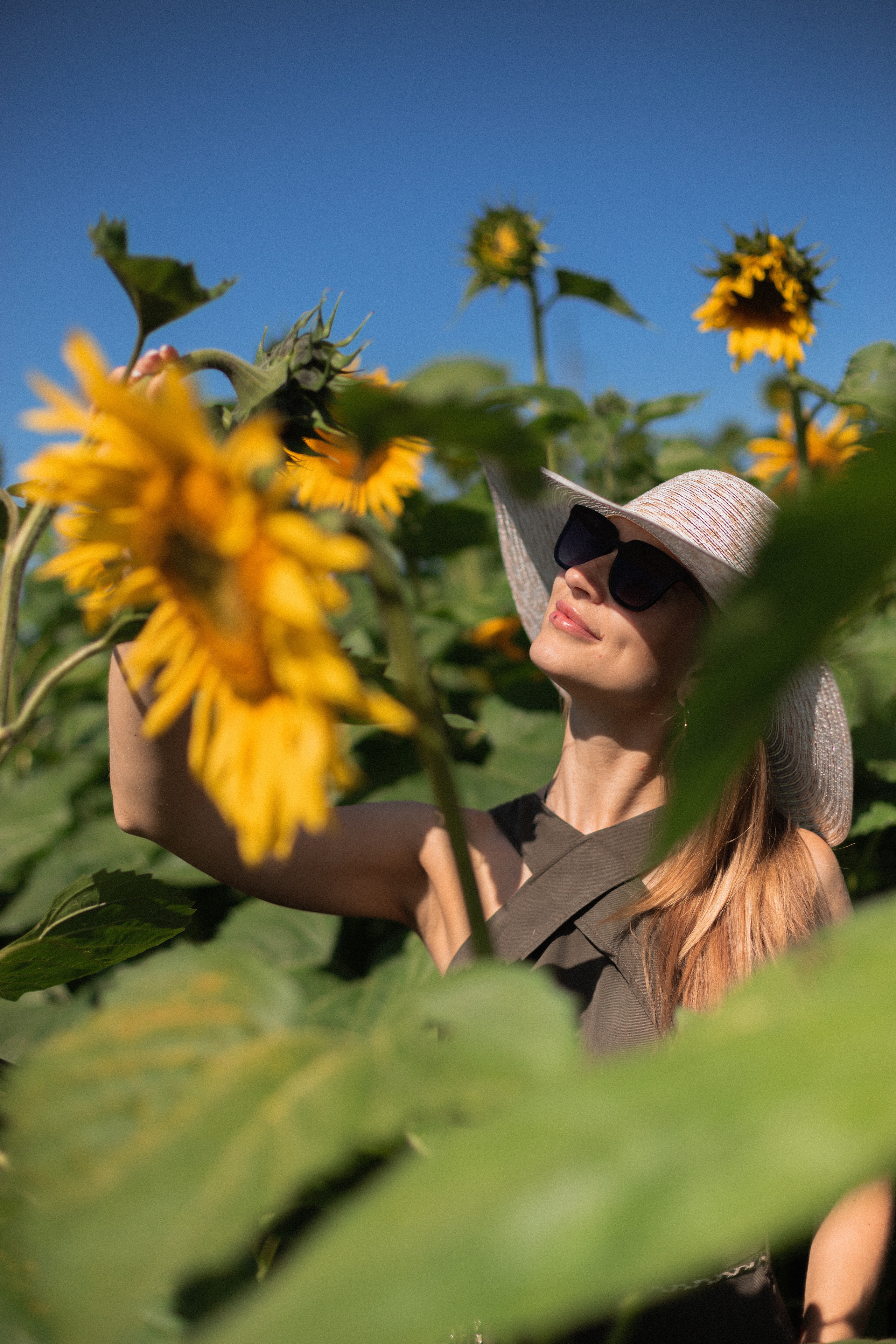 Ксюша, Катя и Полина. Съёмка в подсолнухах. Семейный и детский фотограф в Минске Владыко Татьяна