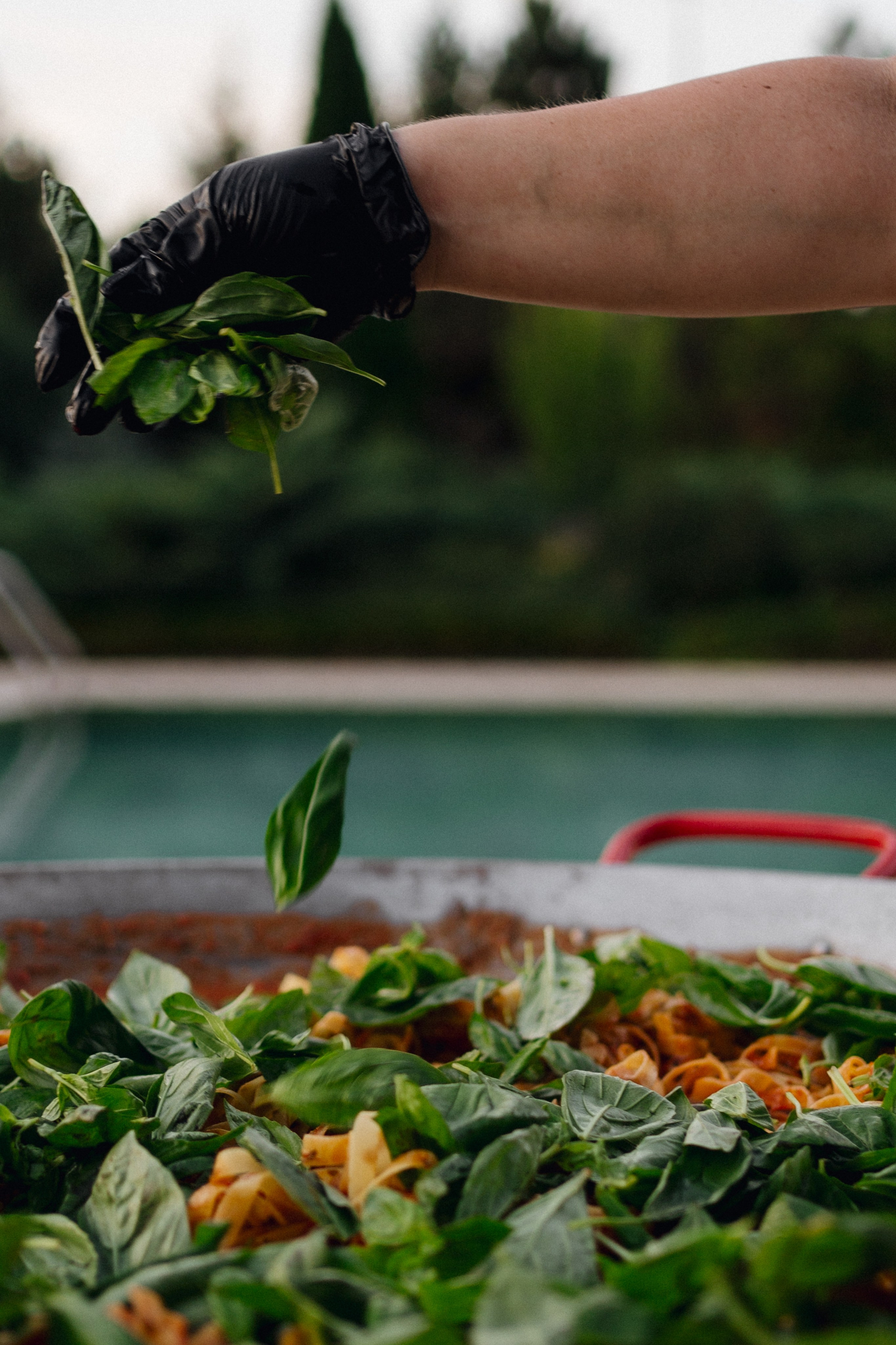 Italian party. Свадебный фотограф в Краснодаре и Сочи Винидиктова Екатерина