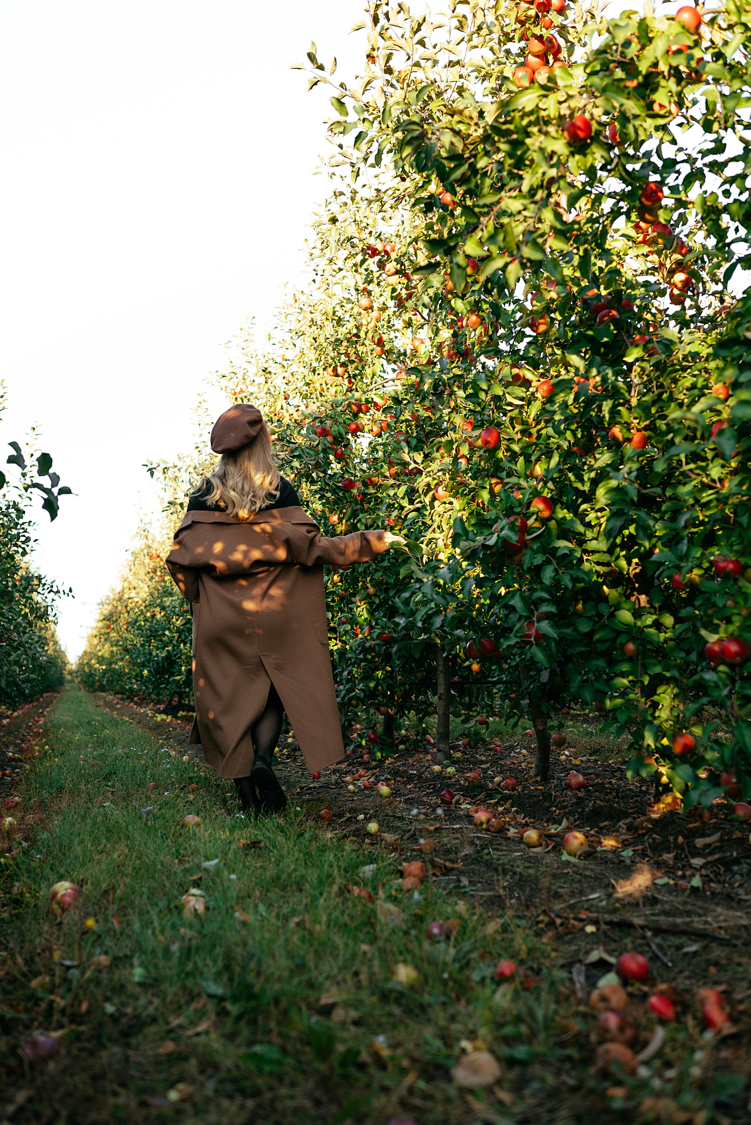Anastasia & Dima. Семейный и детский фотограф в Белгороде Ольга Сорока