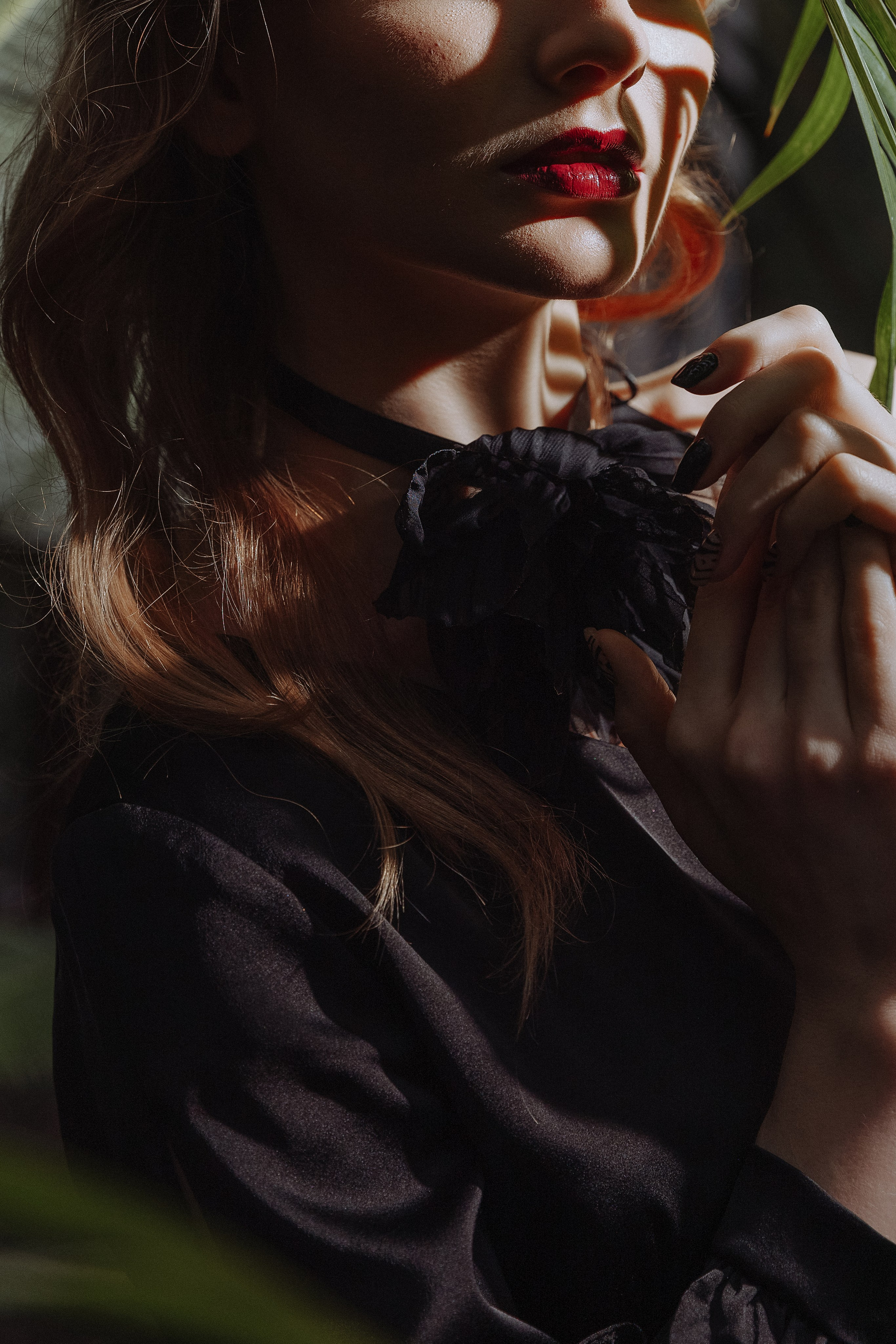 Оранжерея. Каплицкая Любовь — фотограф Тверь