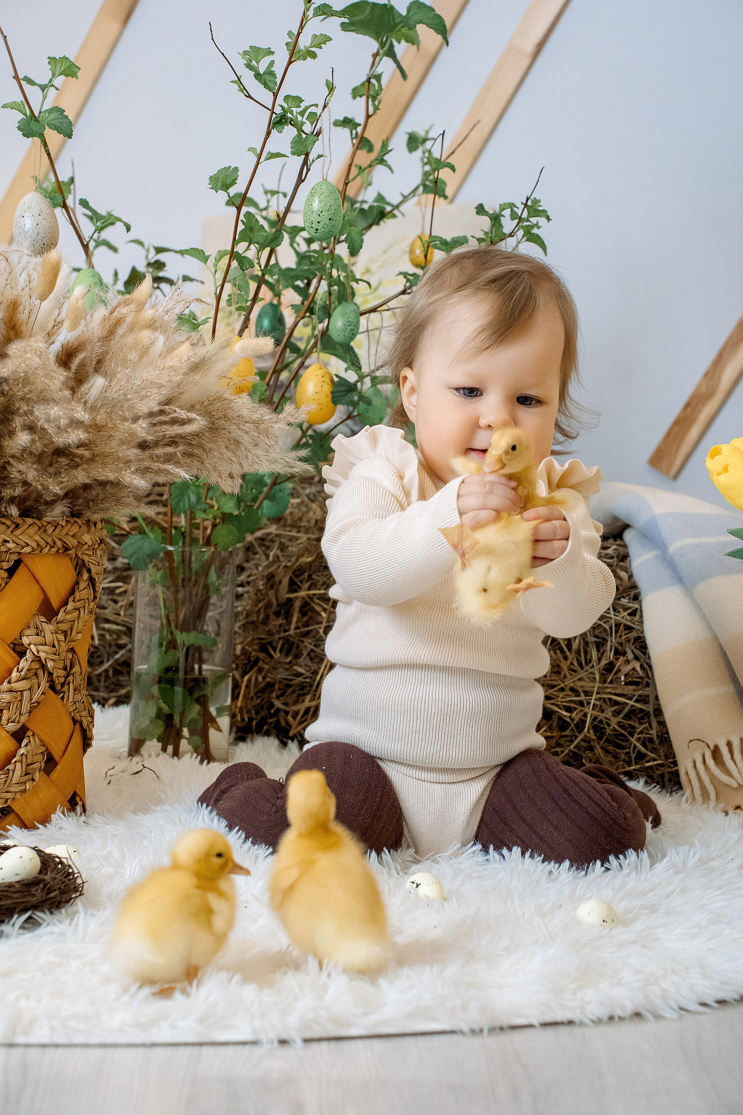 Утята. Фотограф Казакова Анастасия