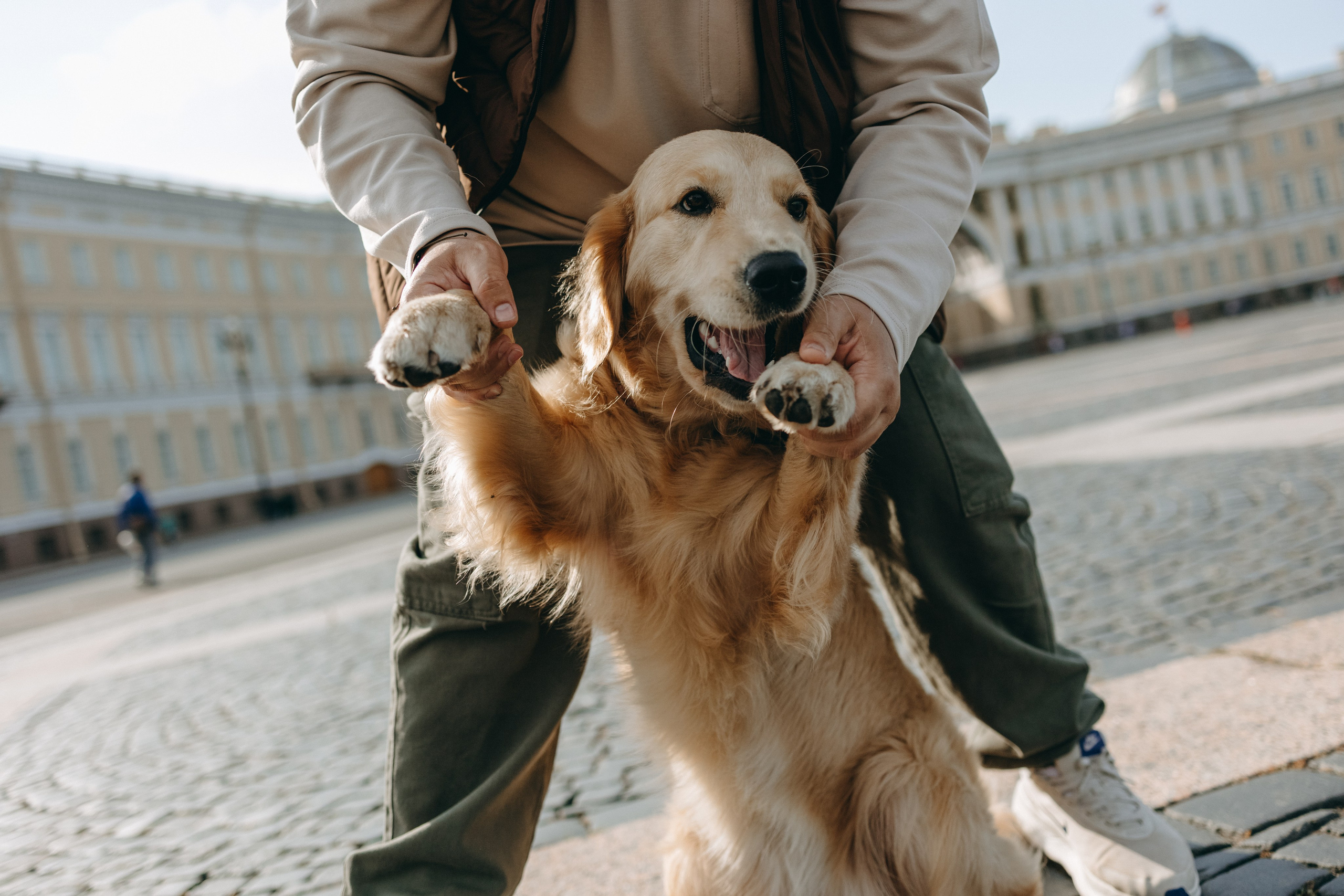 Бетти и ее семья. Фотограф — Анималист | Санкт-Петербург