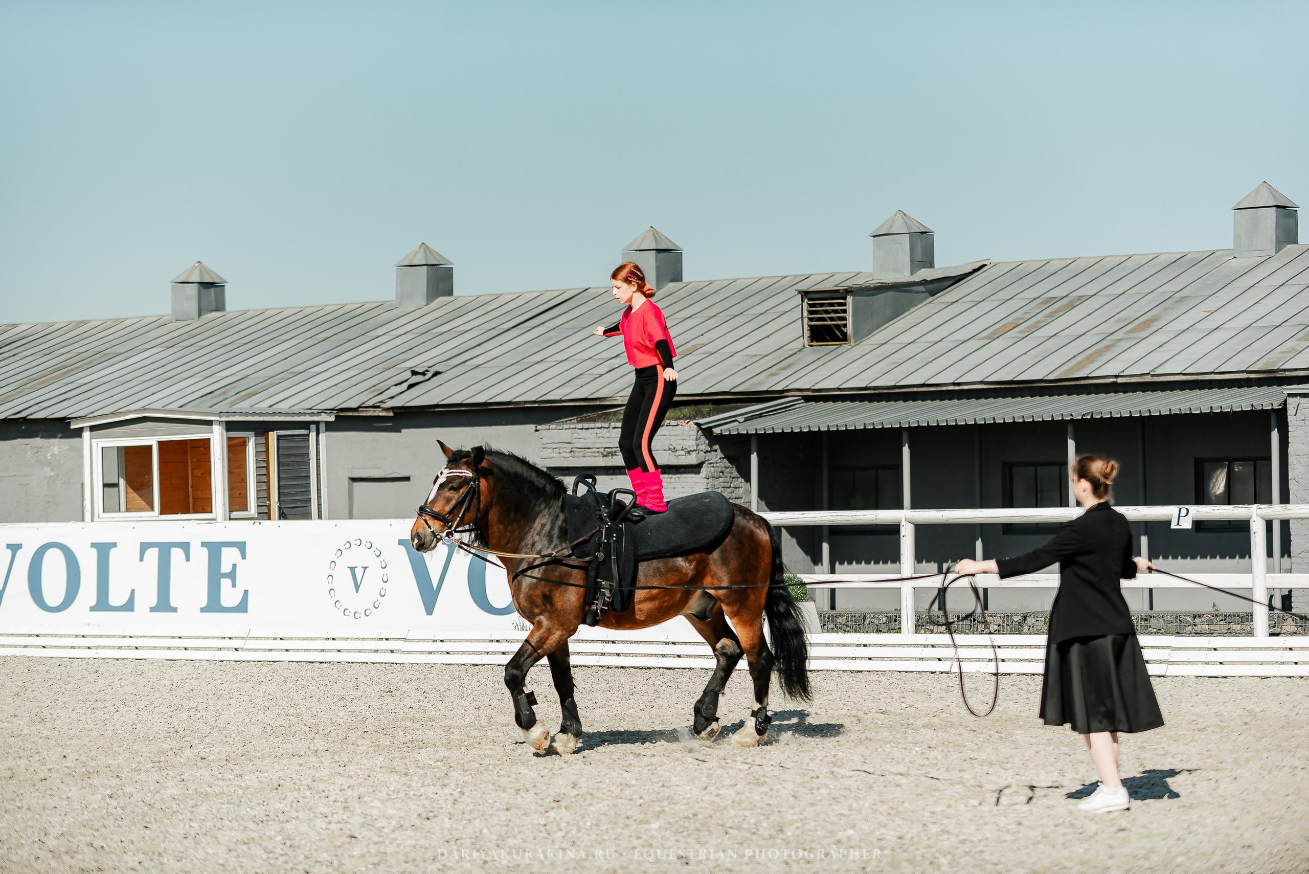 РЕПОРТАЖ МКК ВОЛЬТ «LA TULIPS». Конный фотограф Куракина Дарья • Фотосессии с лошадьми