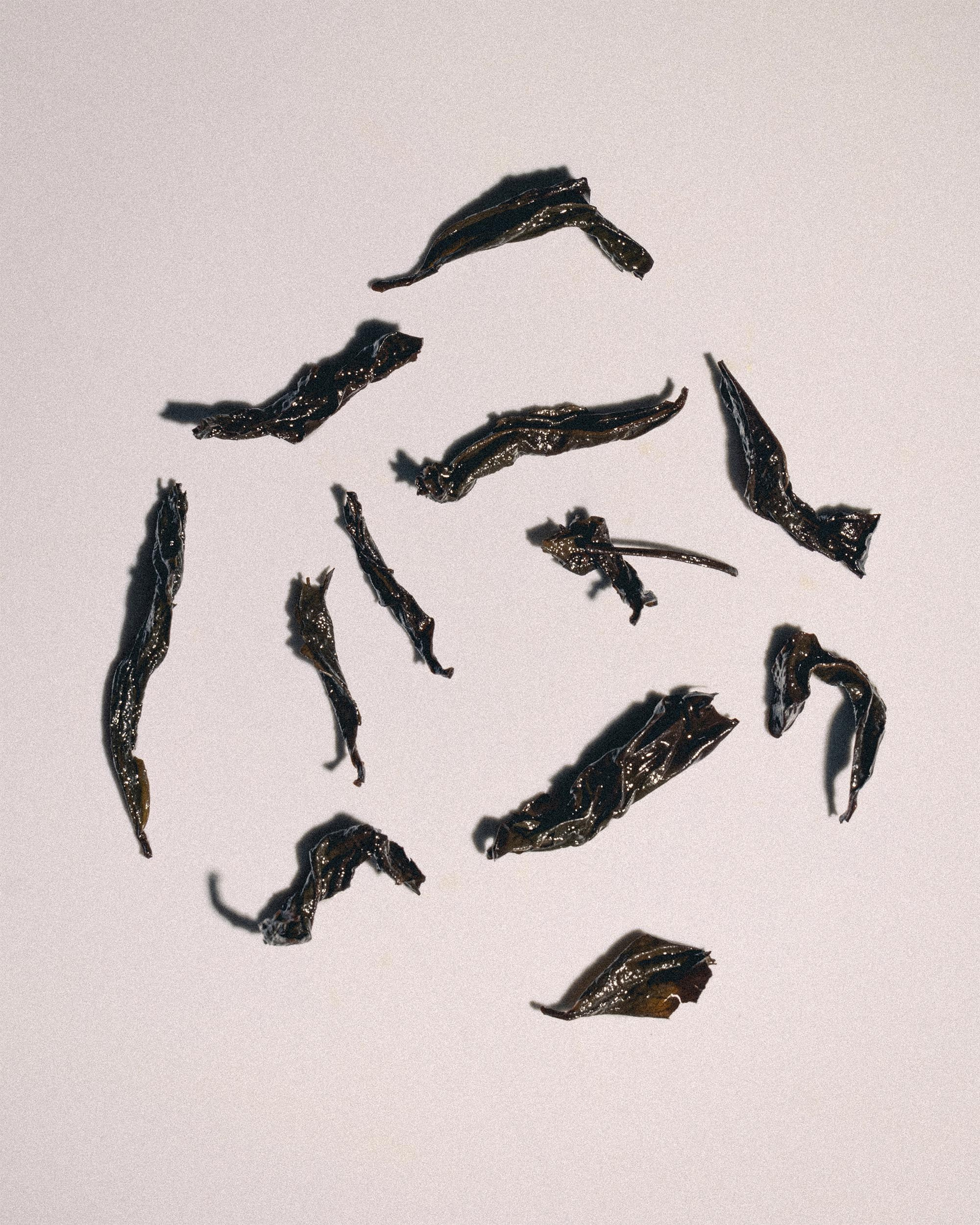 69 — CHA. Ivan Petrov photographer