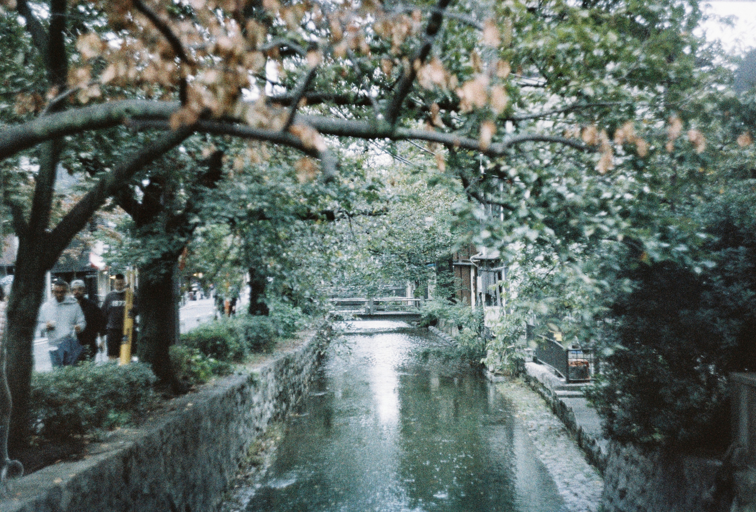 Пленочная фотография в Москве