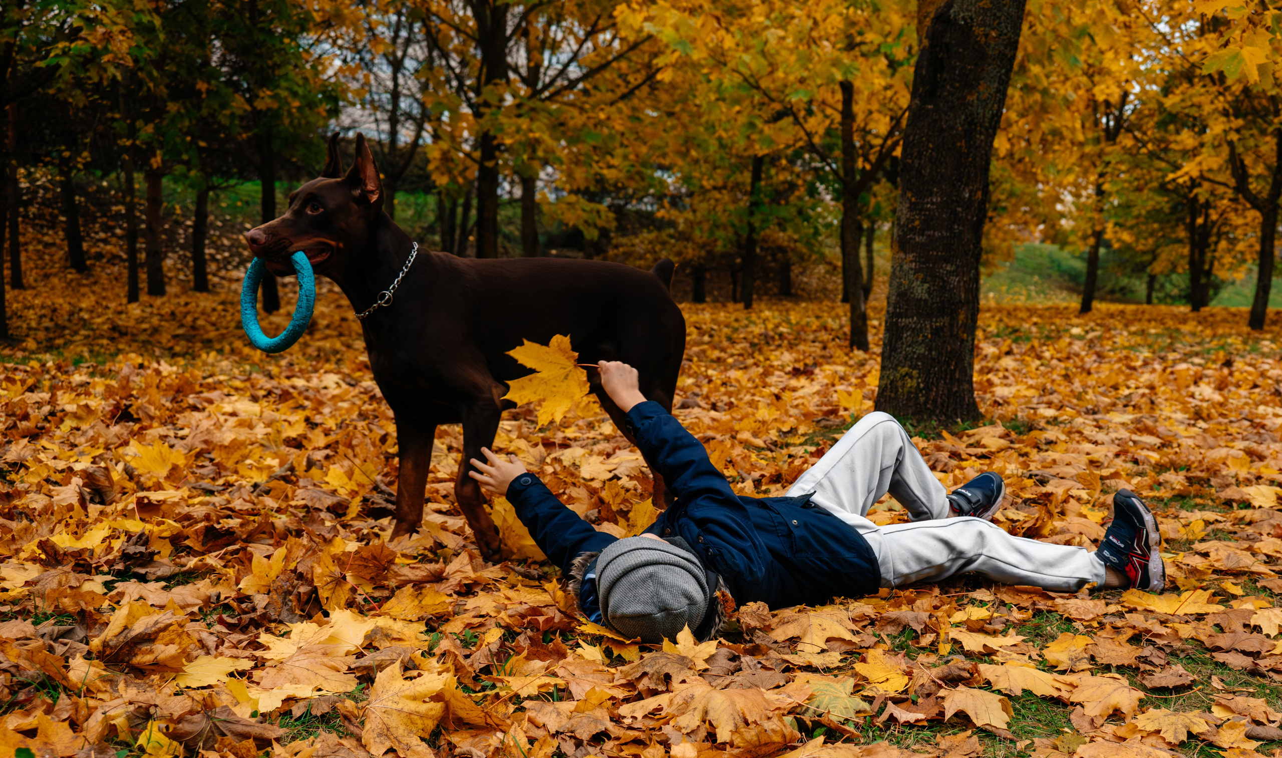 Семья Стенцель. Юлия Чайко, фотограф в Минске