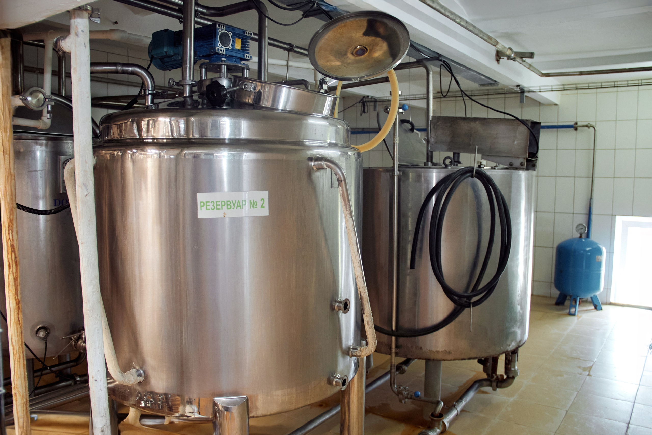 Экскурсия «Агроферма-Катынь». Фотограф в Смоленске Ася Польшина