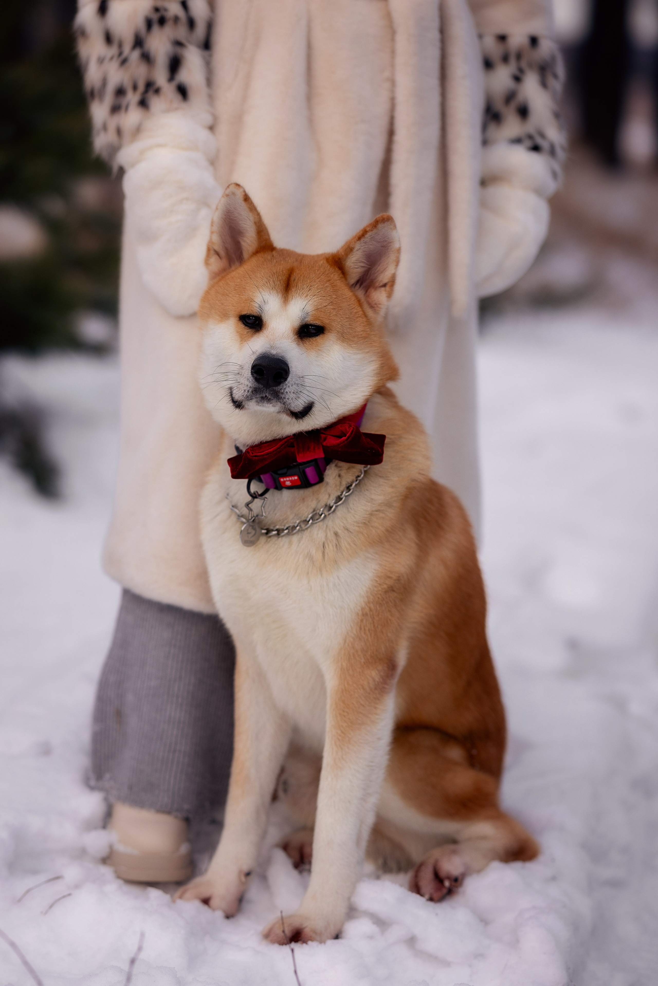 Съемка в зимнем лесу. Фотограф Ульянкина Мария