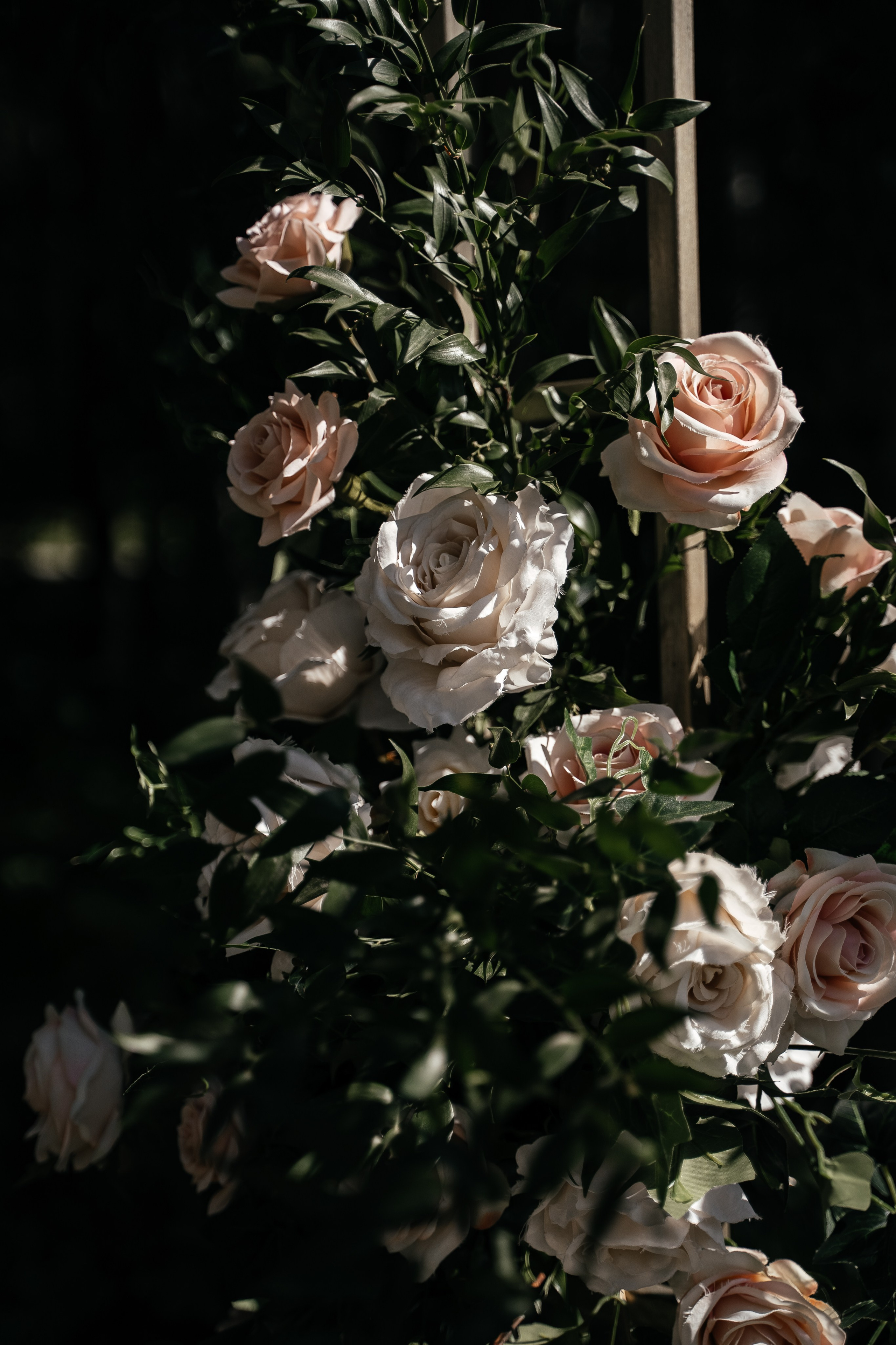 Семейный ужин 11.08.2022. Свадебный фотограф Казань Анастасия Доле