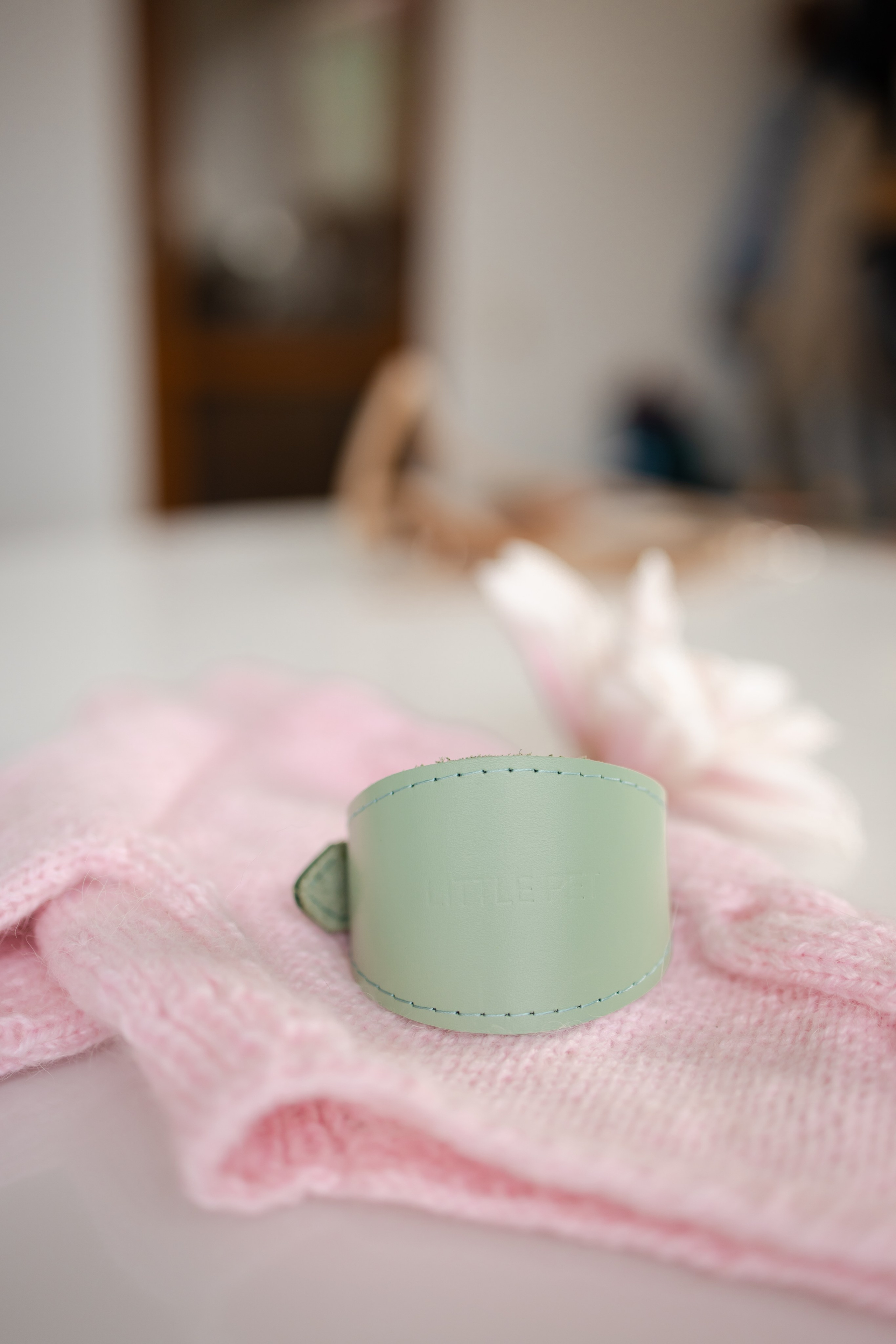 Прогулки. Профессиональный питомник левреток РКФ/FCI ASTI SAPPHIRE 💎 Сочи|Санкт-Петербург