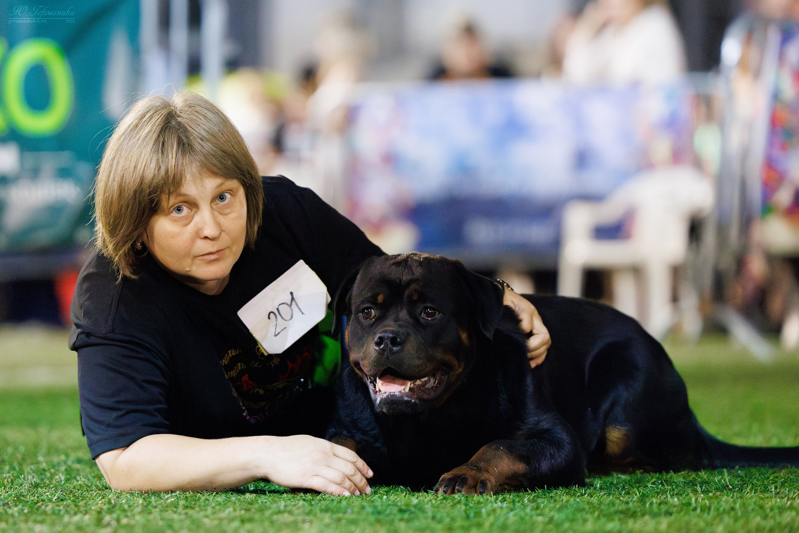 Волгоград 2-4.08.2024. Фотограф-анималист Юлия Германика