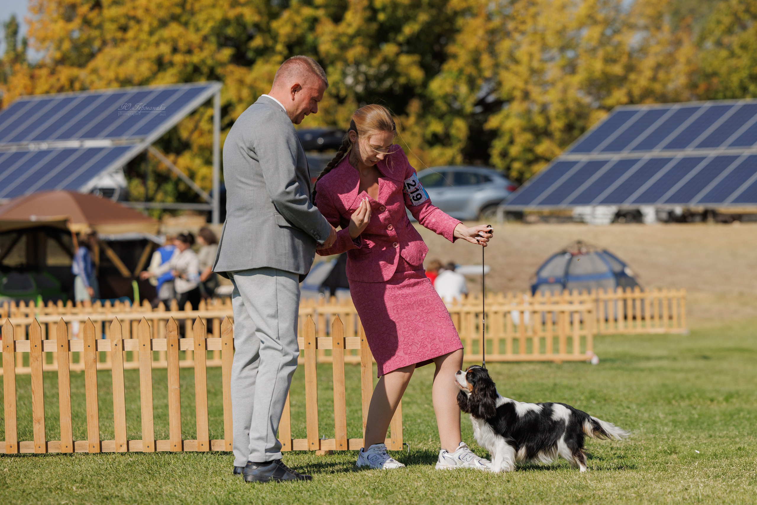 Ереван 14-16.10.2025. Фотограф-анималист Юлия Германика