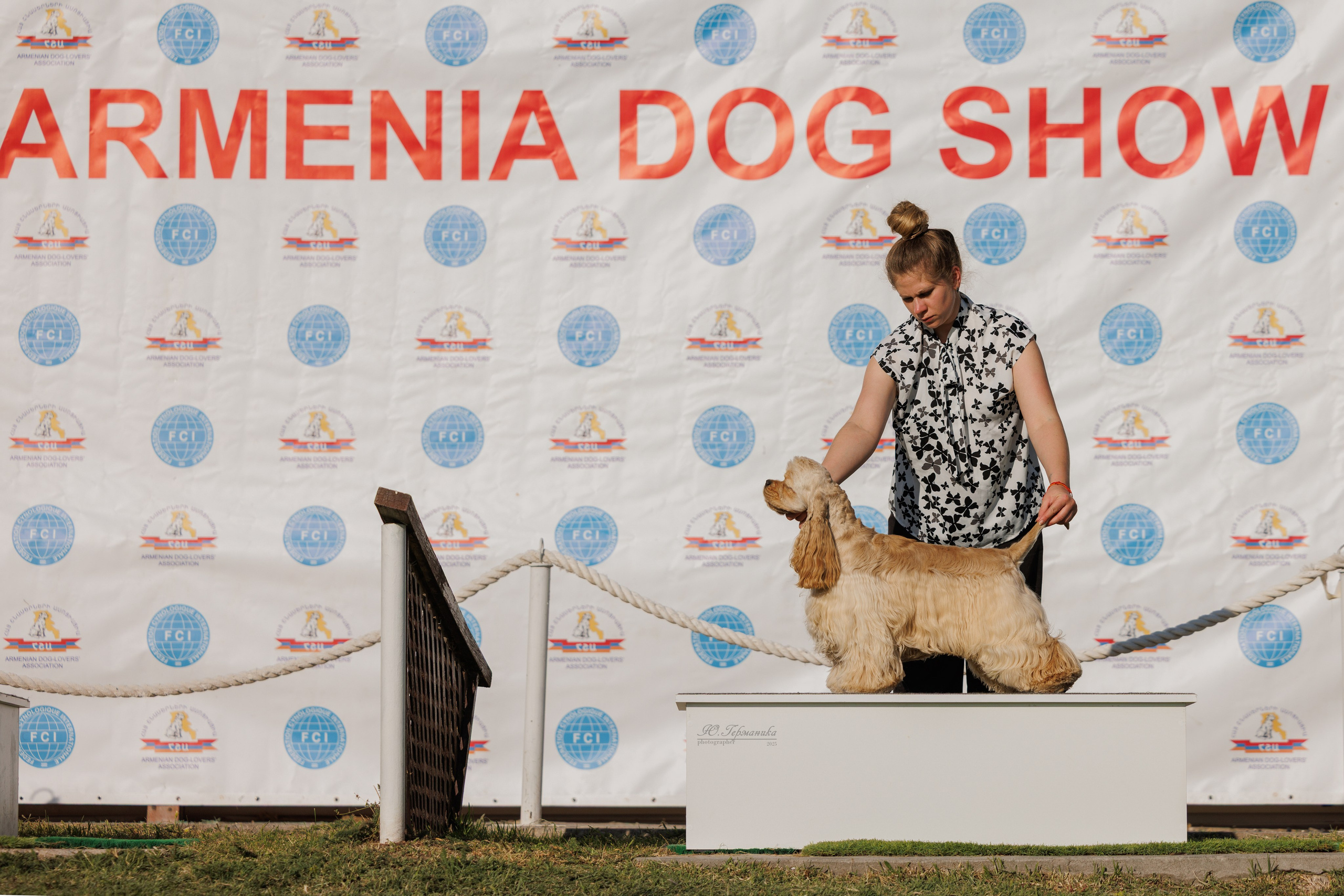 Ереван 14-16.10.2025. Фотограф-анималист Юлия Германика