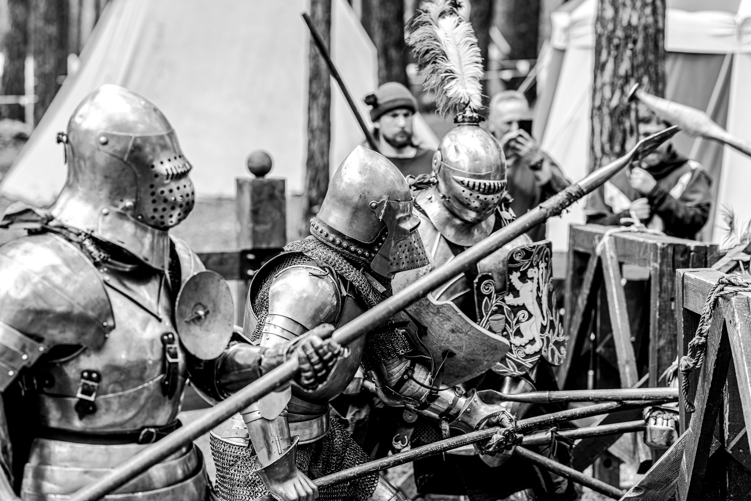 Княжий двор 2024. Bertran Ordo