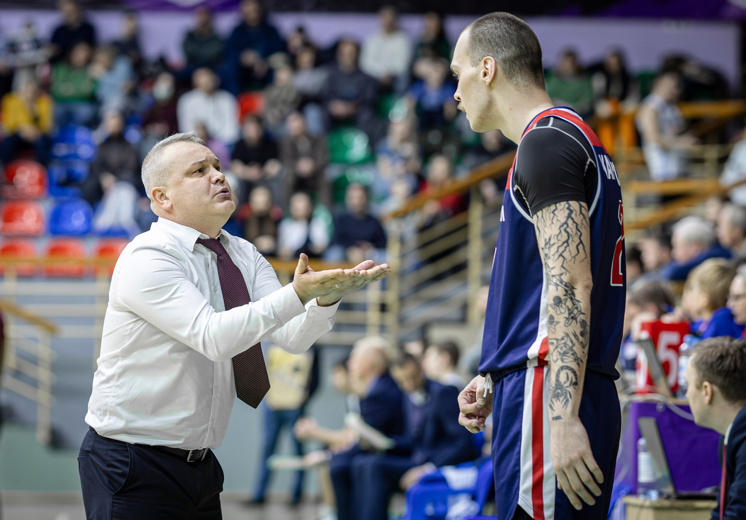 БК Новосибирск. Bertran Ordo