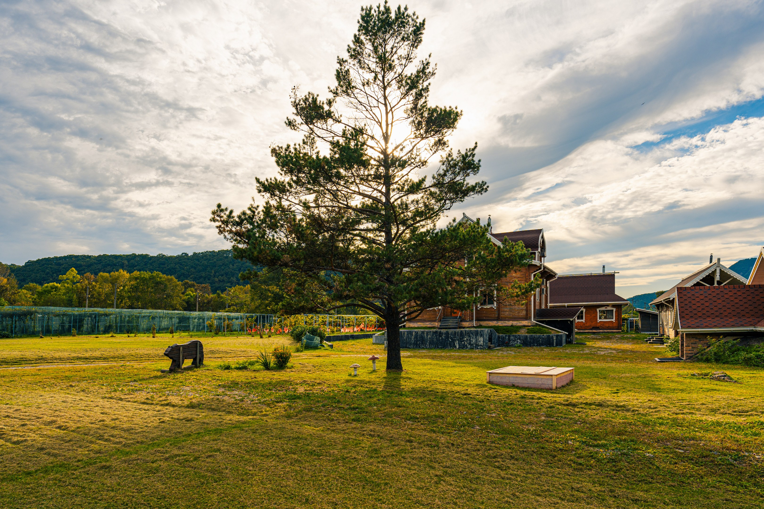 Майхинское хозяйство. Иван Зайцев (IZIART) — создание культурного кода через фото и видео
