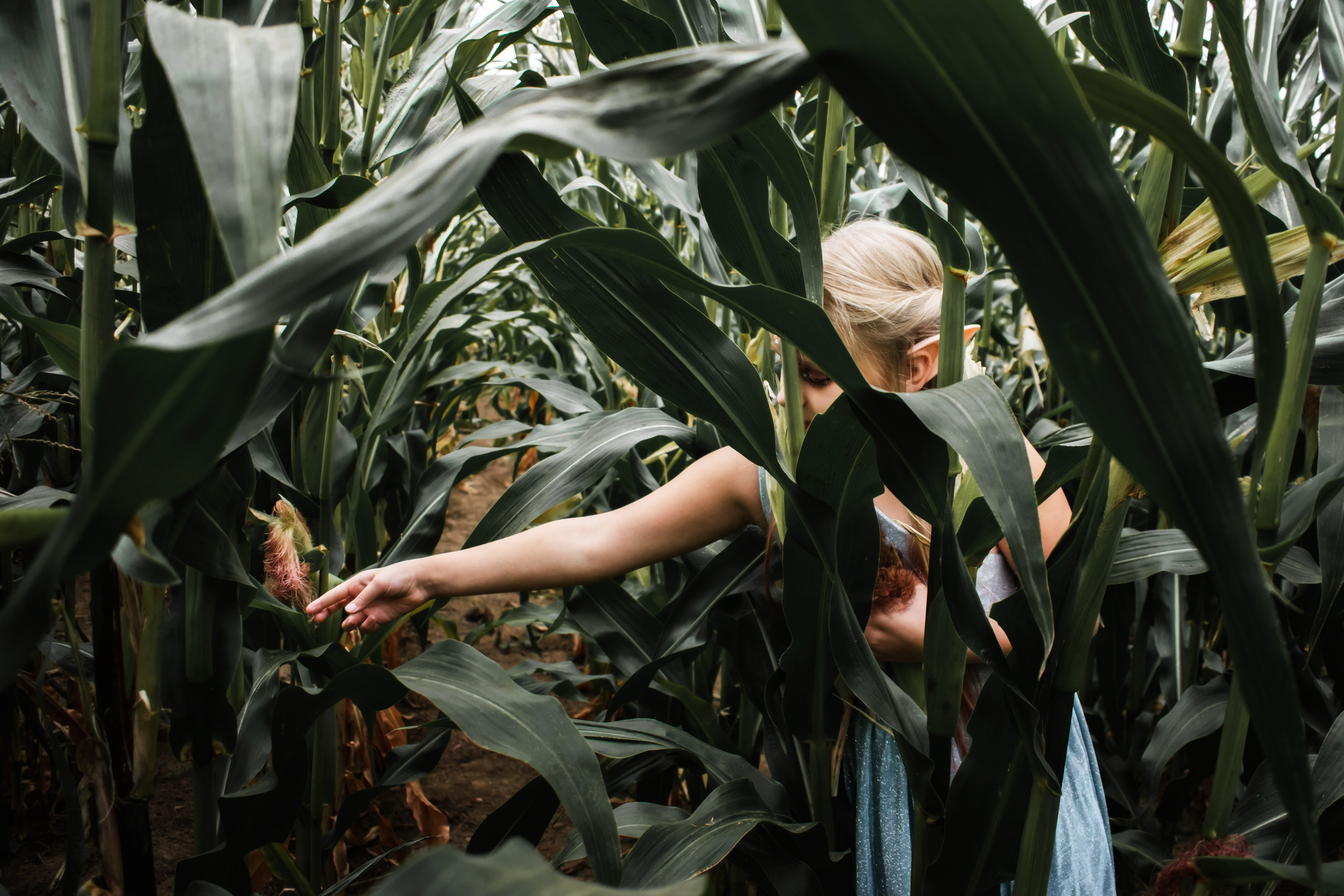 Кукурузный эльф. Детский и семейный фотограф в Волоколамске Ирина Шарова