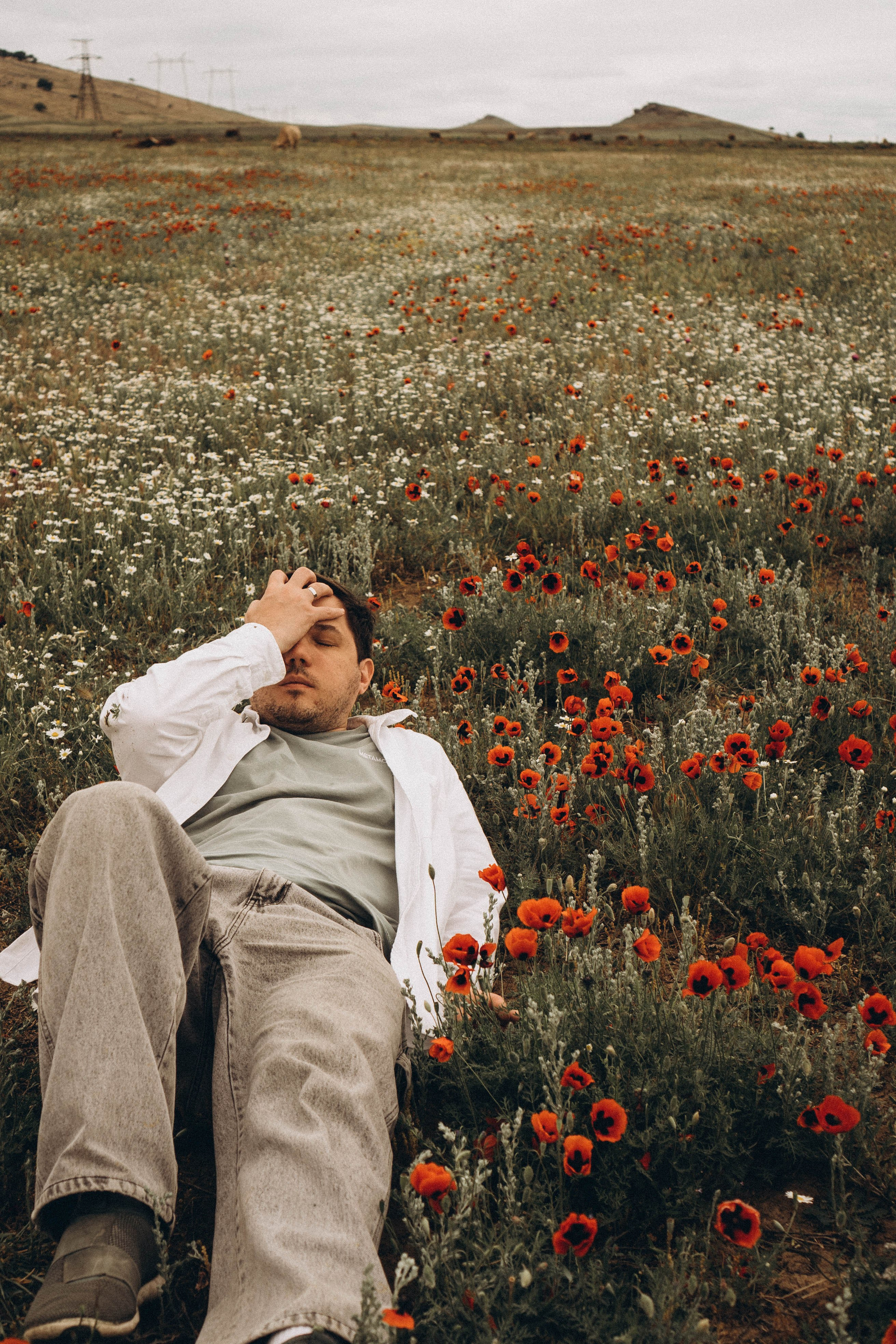 Маки. Профессиональный фотограф, Санкт-Петербург — Виктория Богомолова