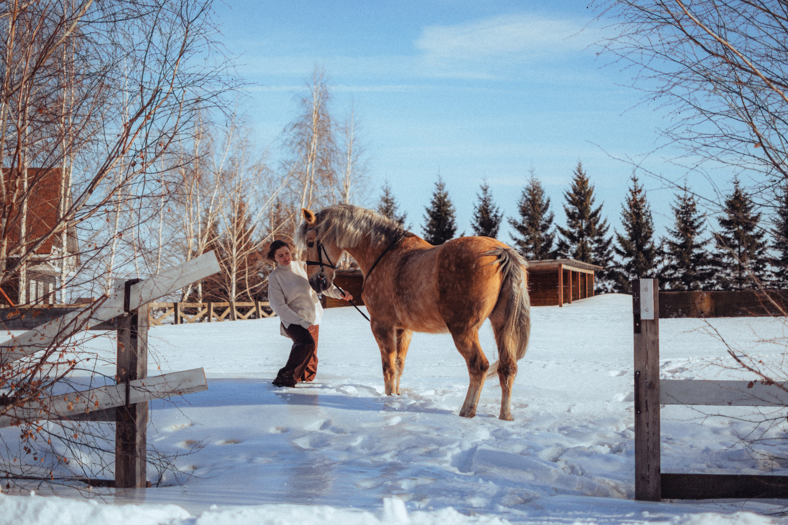 Маша и Фрутти. MariaGohri — Конный фотограф, анималист, Рязань