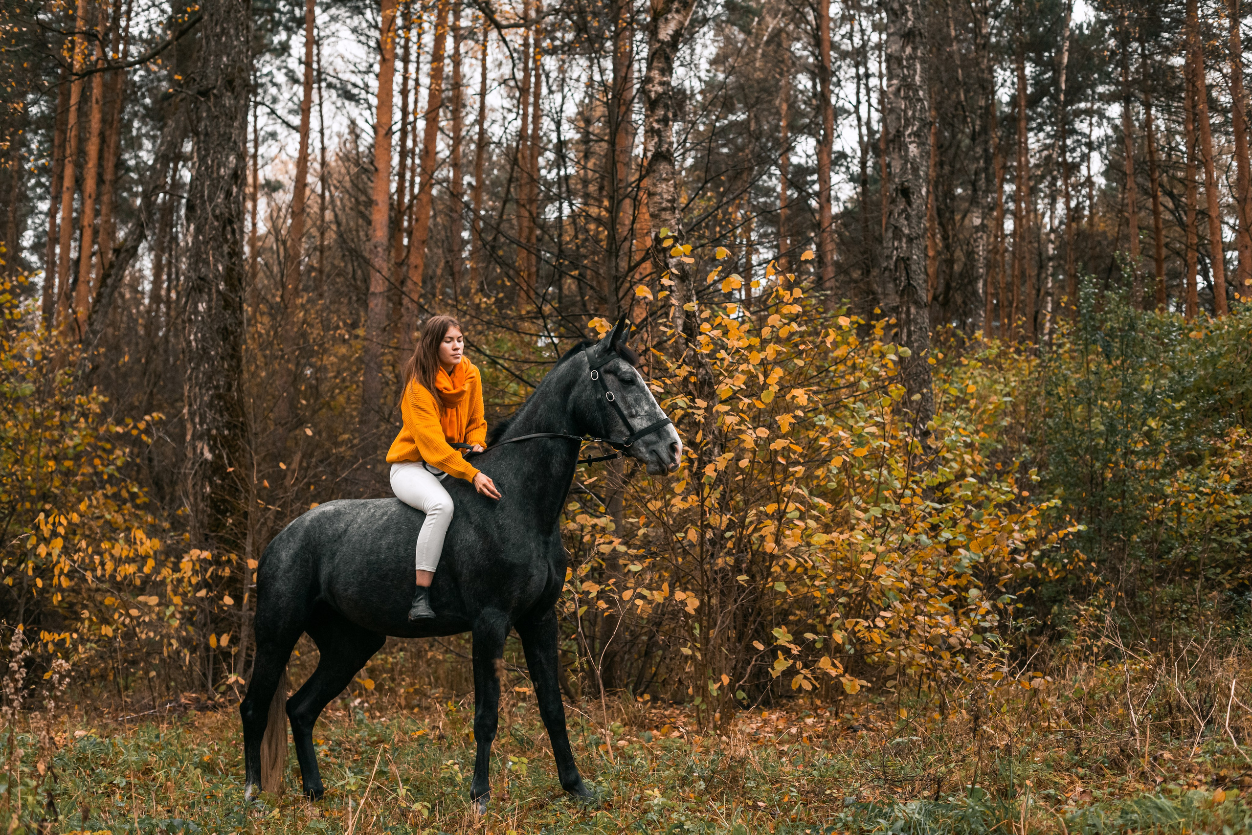 Аня и Джози. Фотограф-анималист Татьяна Степанова