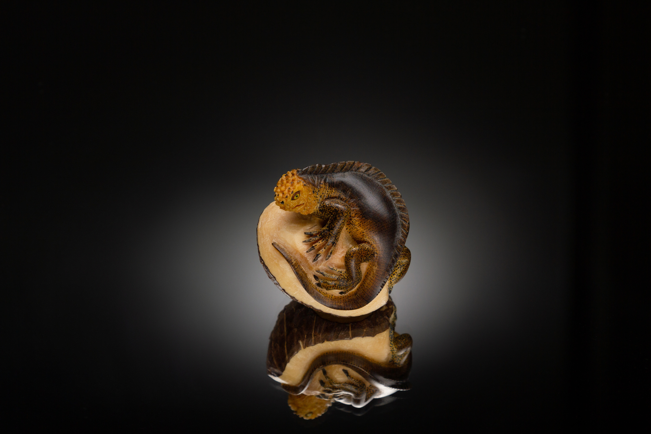 Галапагосская игуана вырезанная из ореха на тёмном зеркале