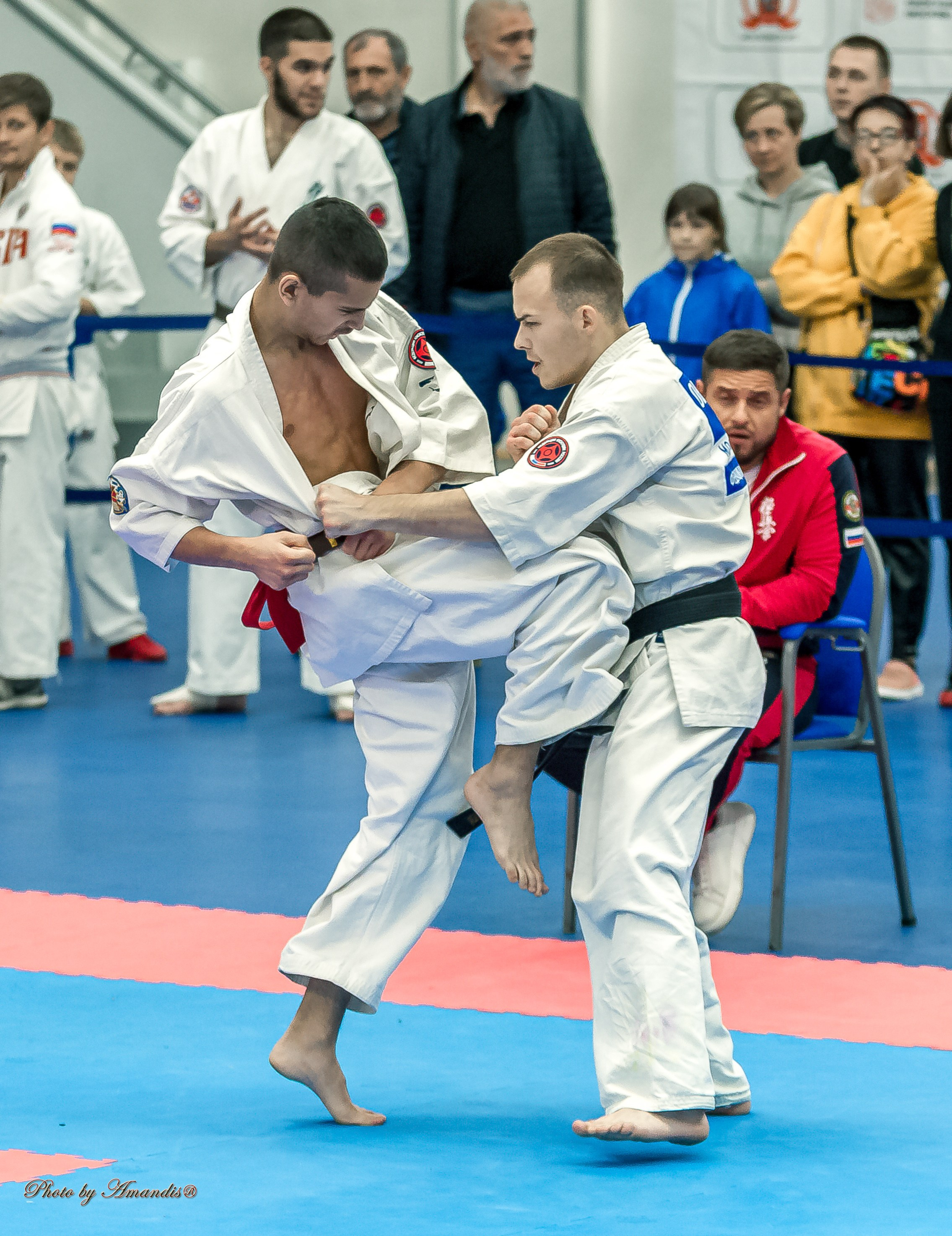 Чемпионат по Киокушинкай Центрального Федерального округа. Репортажная съемка в Москве и области. Анималистика