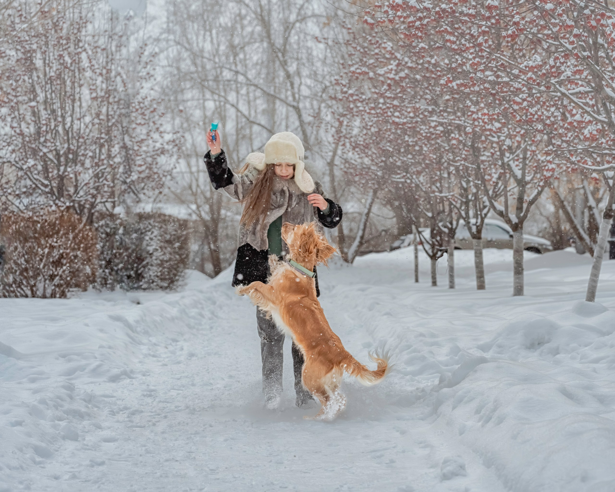 Детская зимняя фотосессия с животными в Екатеринбурге, девочка играет с собакой, фотограф Светлана Корнелюк