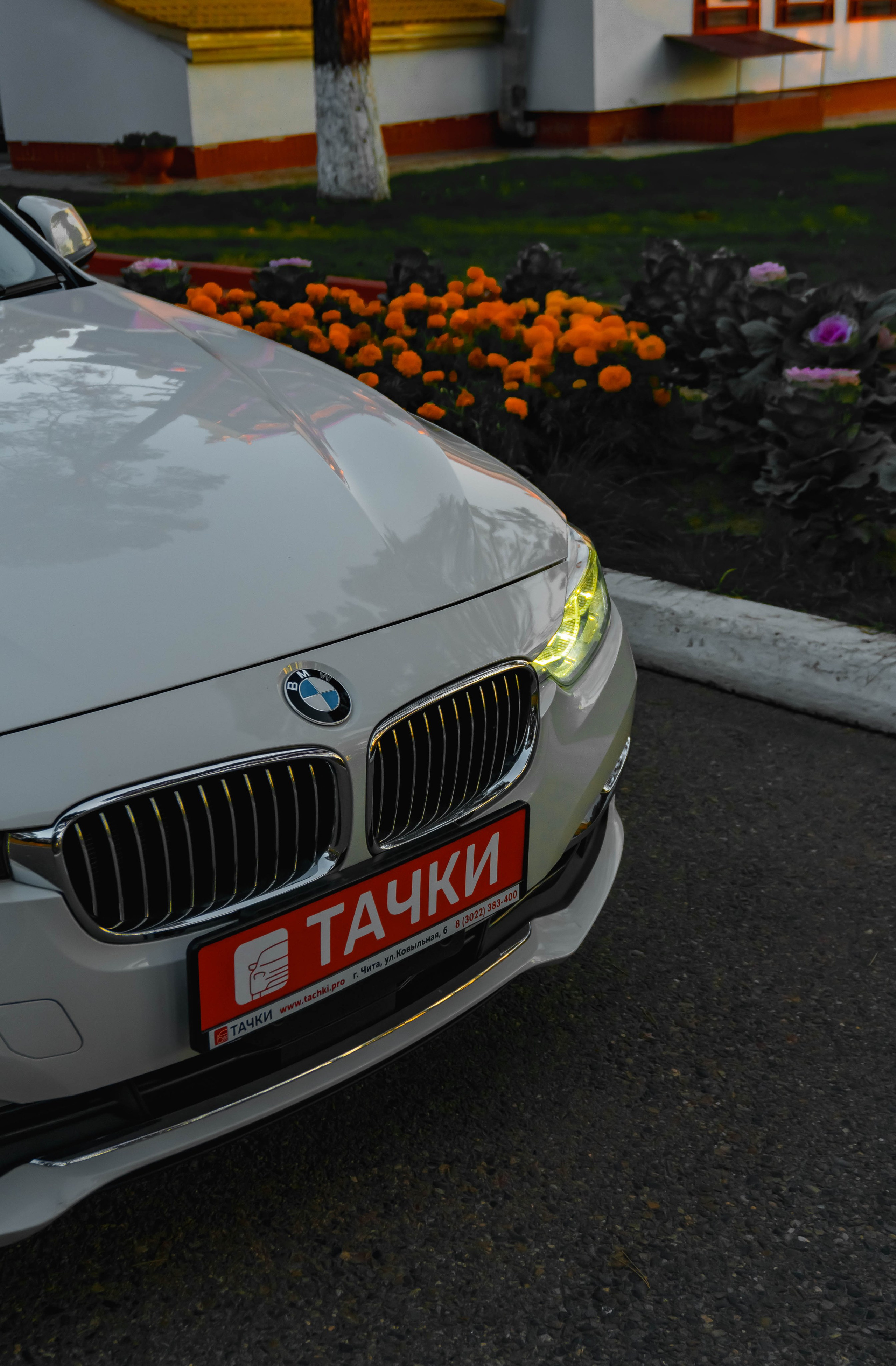 BMW 3 Series. SHDEN — Photographer | Content Creator