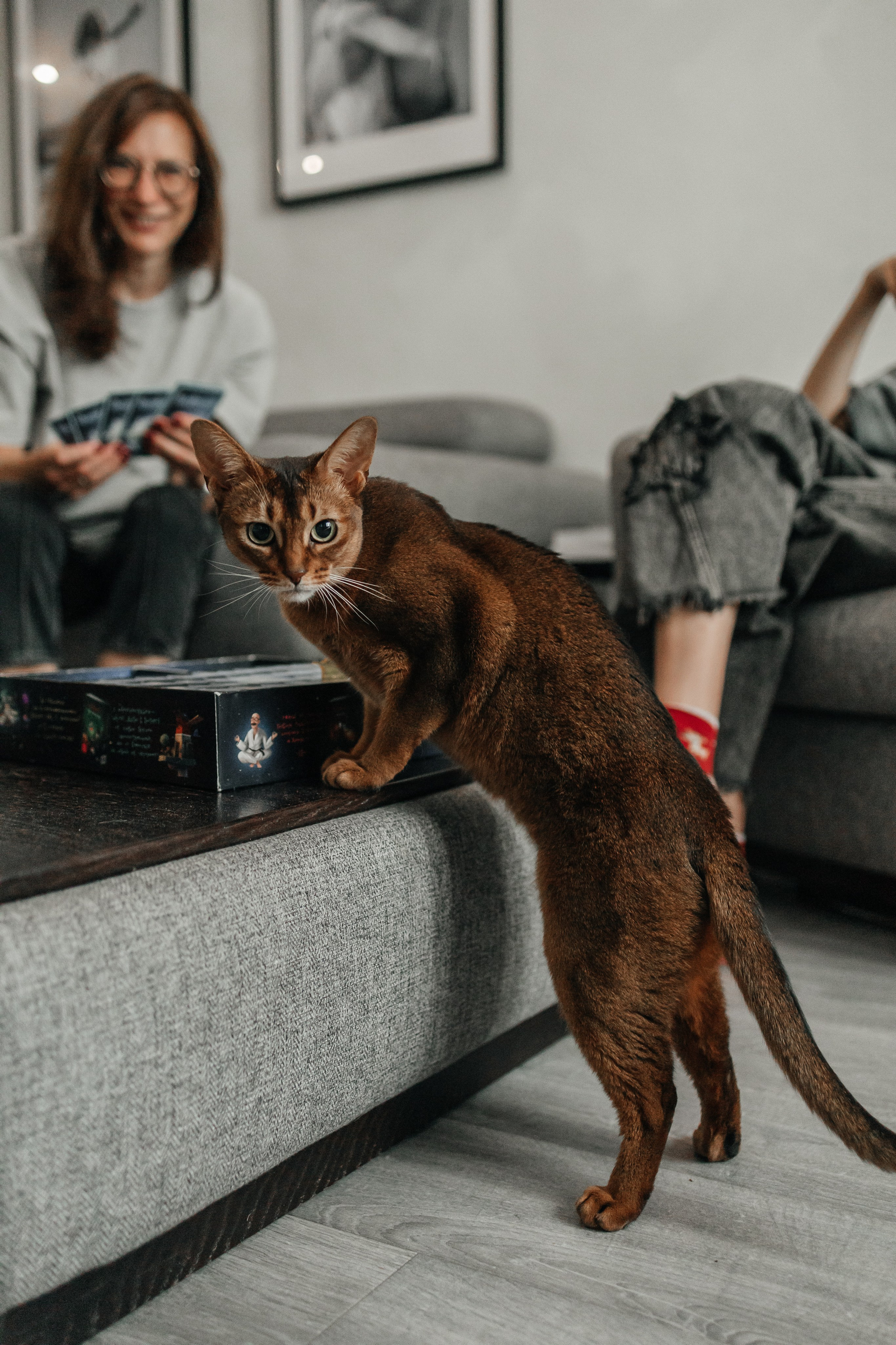 Семейная фотосессия с подростком Москва Щелково Фрязино Мытищи. Семейный фотограф в Москве, Щелково, Фрязино _ Виктория Степанова
