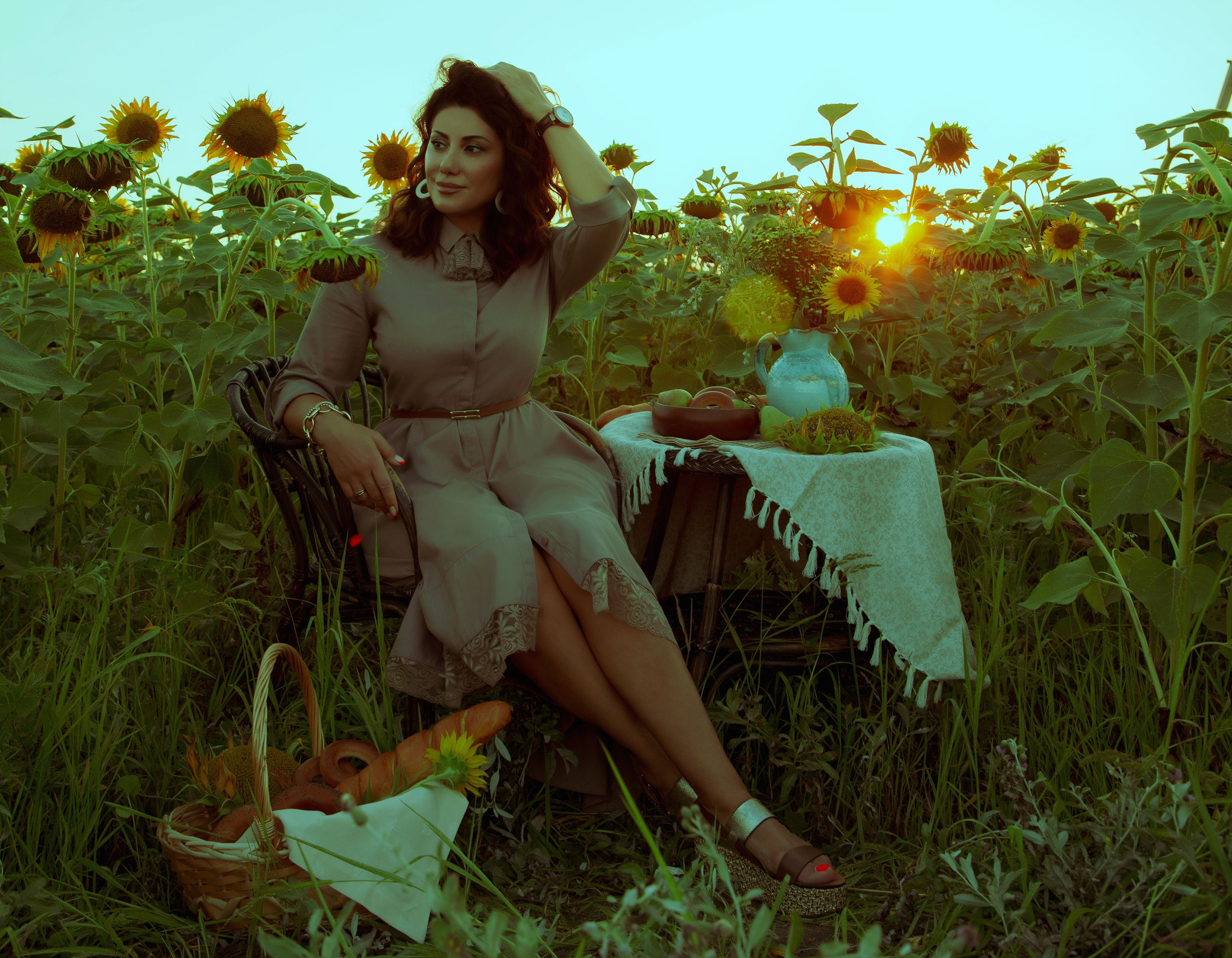 подсолнухи в цвету