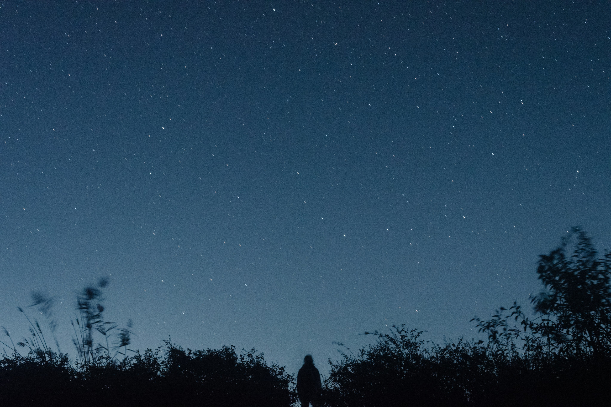 Самур биологи. Фотограф Алиса Калинина