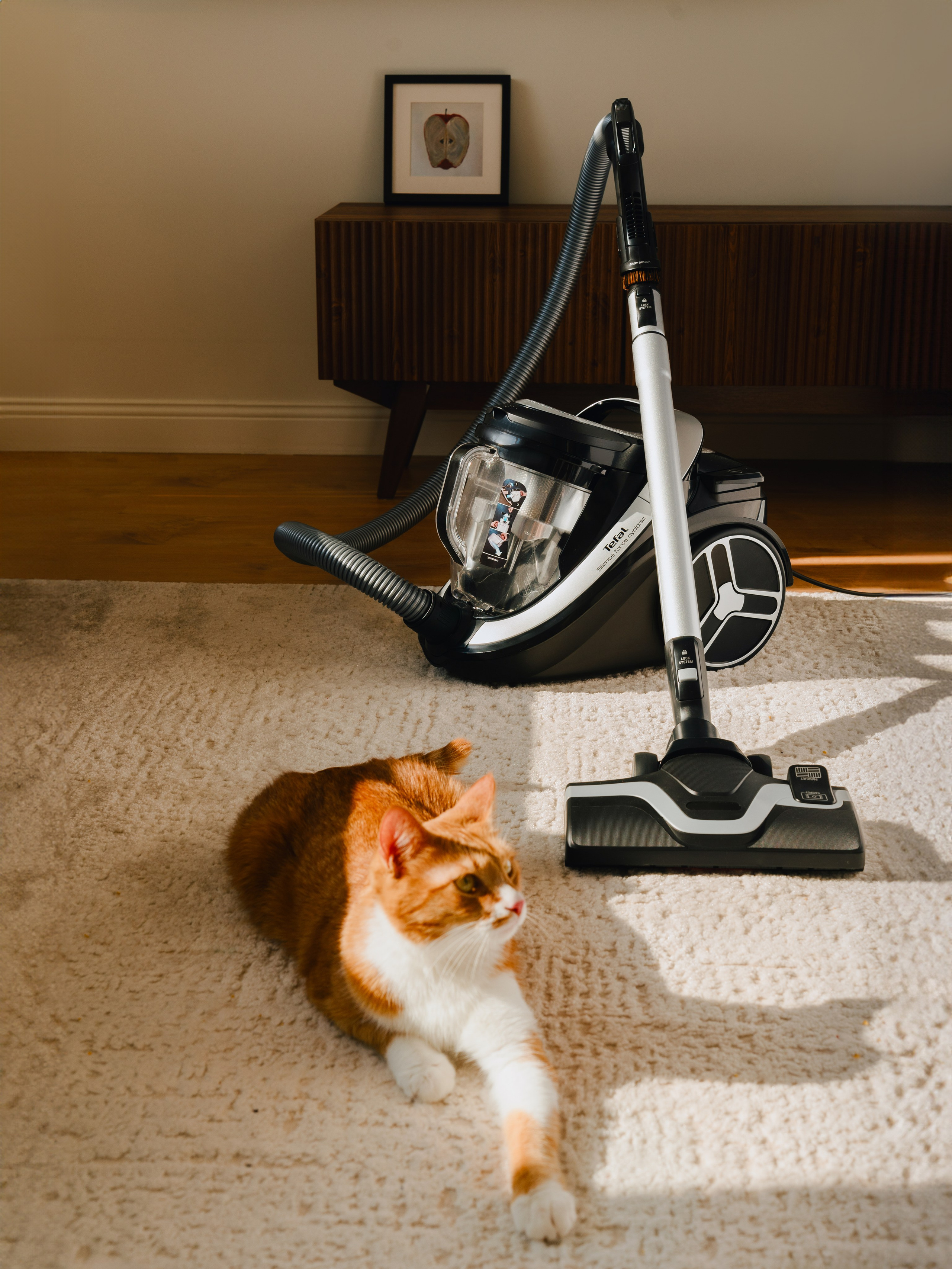 Tefal. Главная