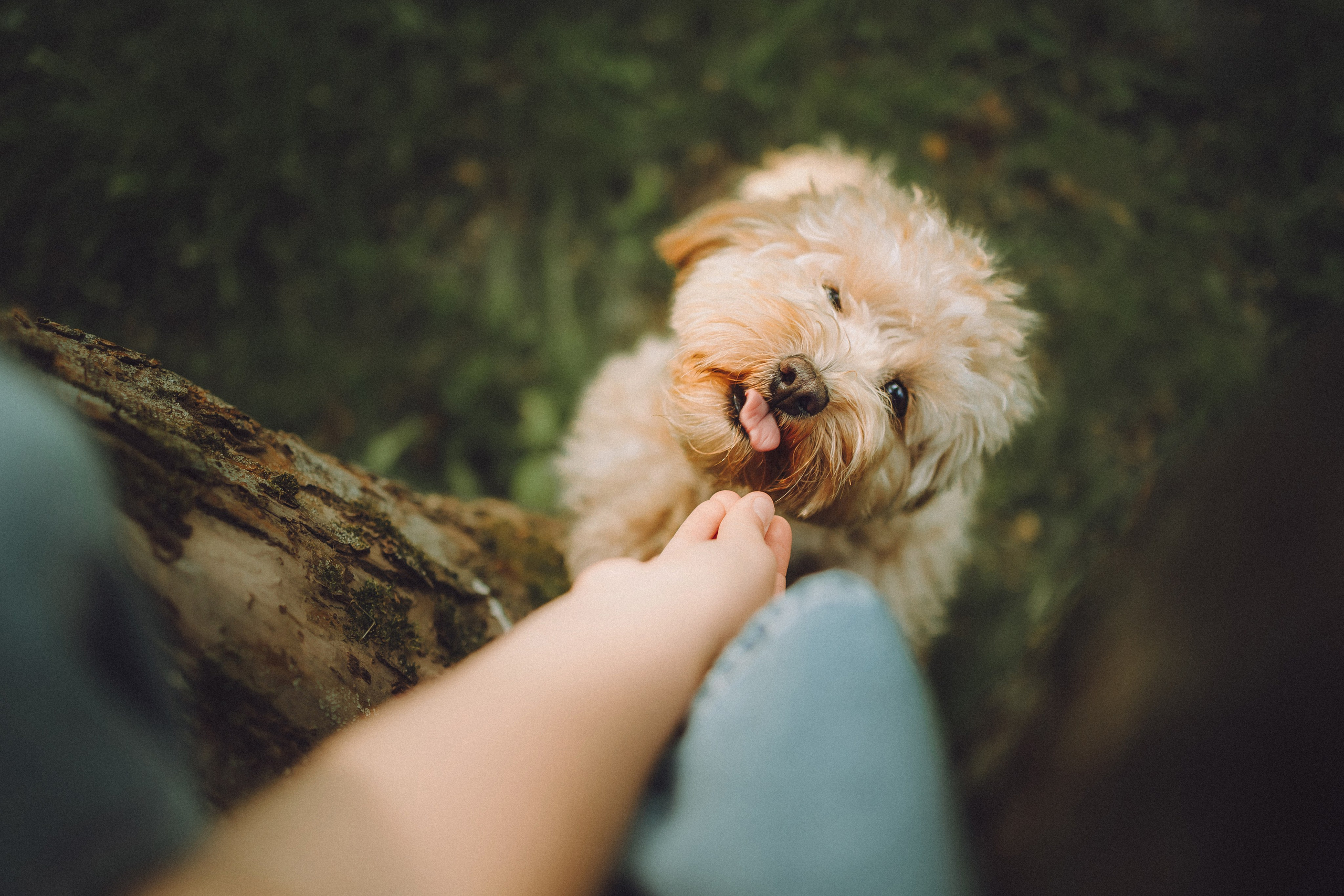 Фред и его семья